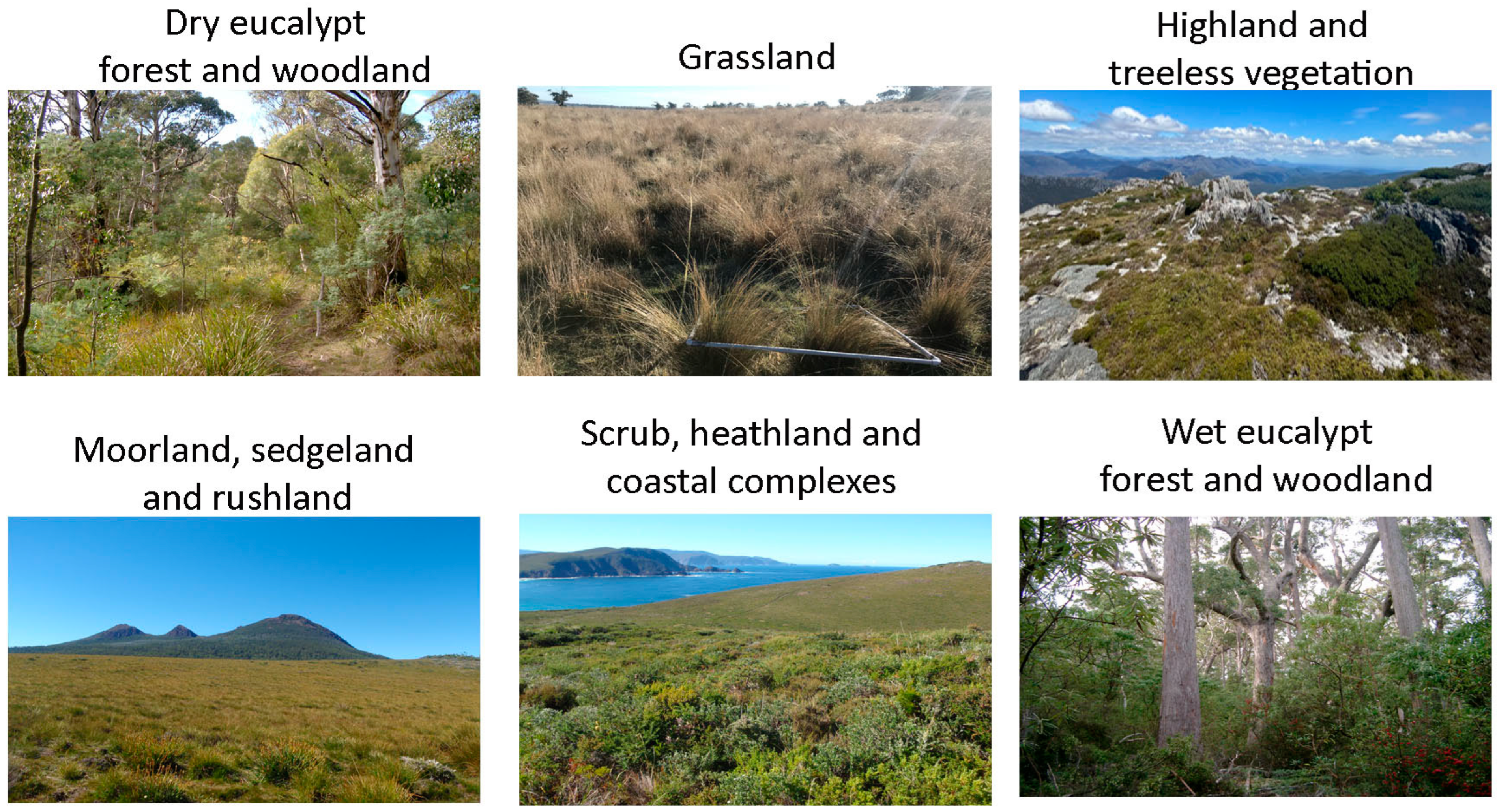 Fire 05 00111 g002 Fire 05 00111 g002