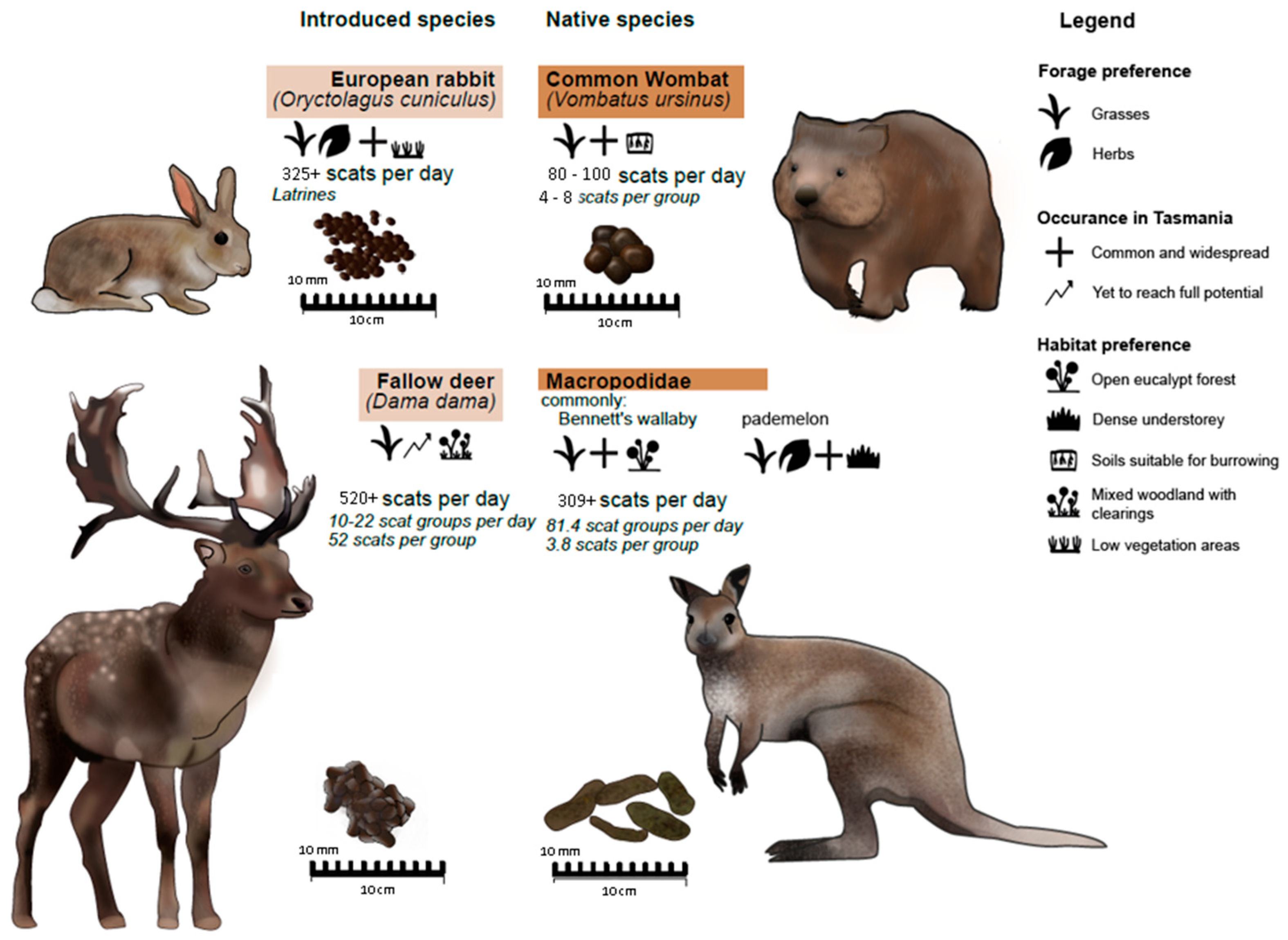 Fire 05 00111 g003 Fire 05 00111 g003