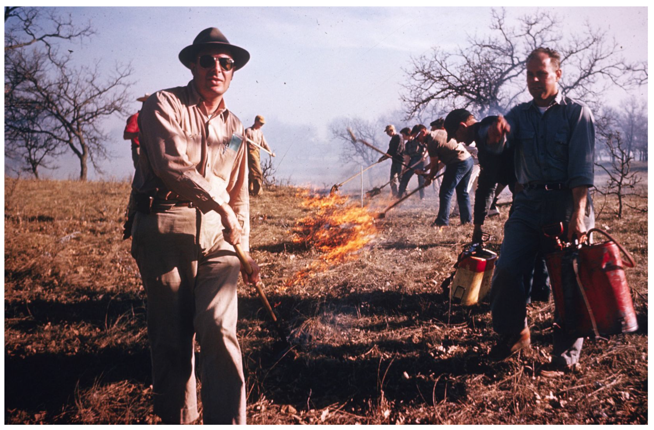 Fire 05 00121 g002 550