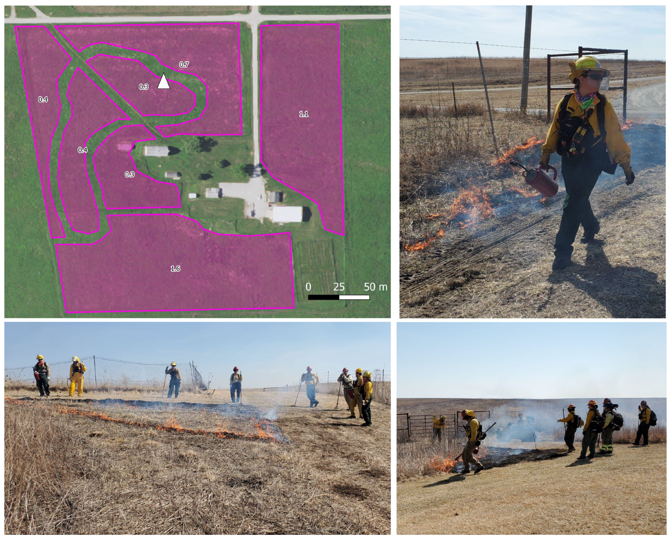 Fire 05 00121 g006 550