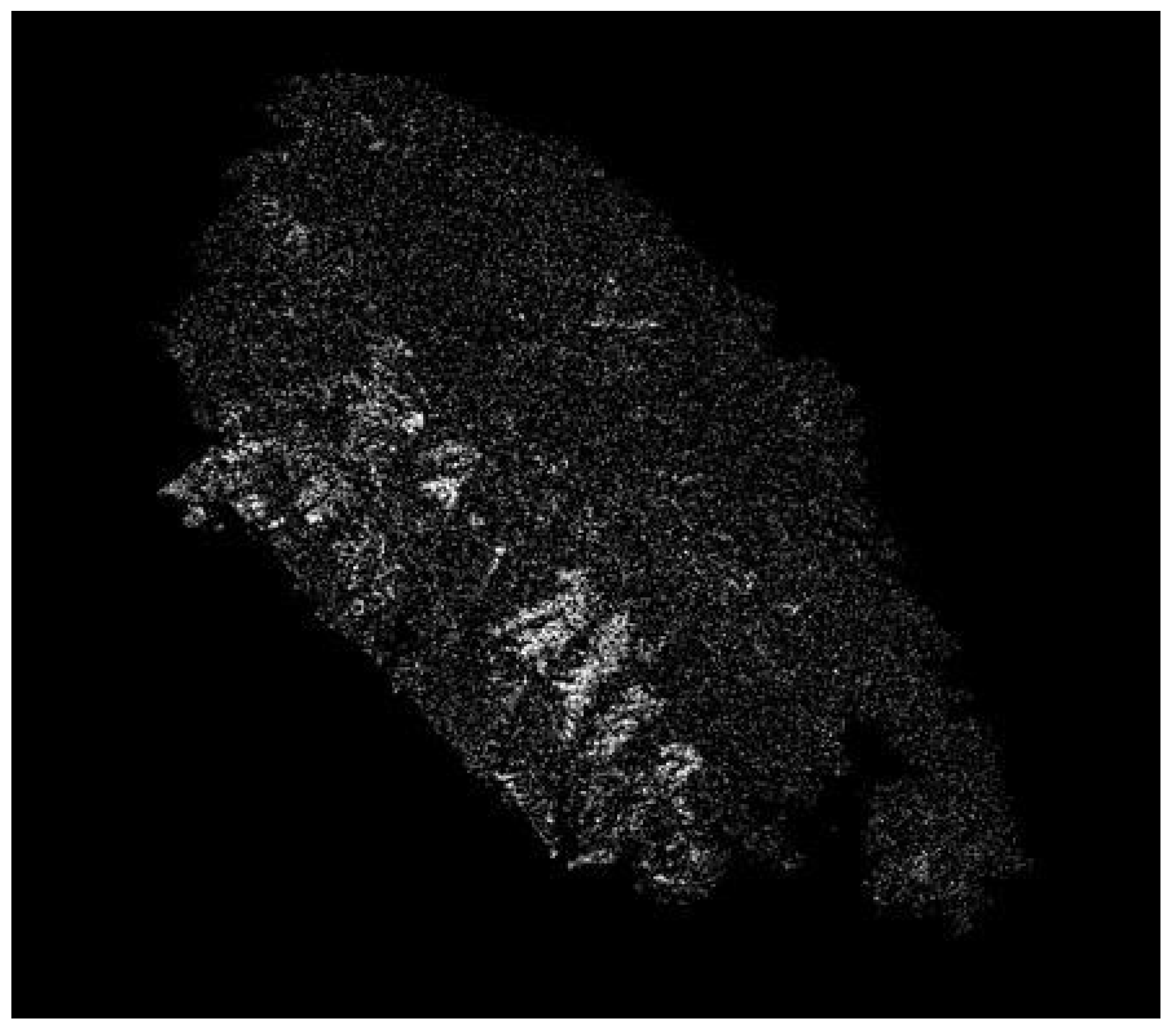 Fire 05 00163 g006 Fire 05 00163 g006