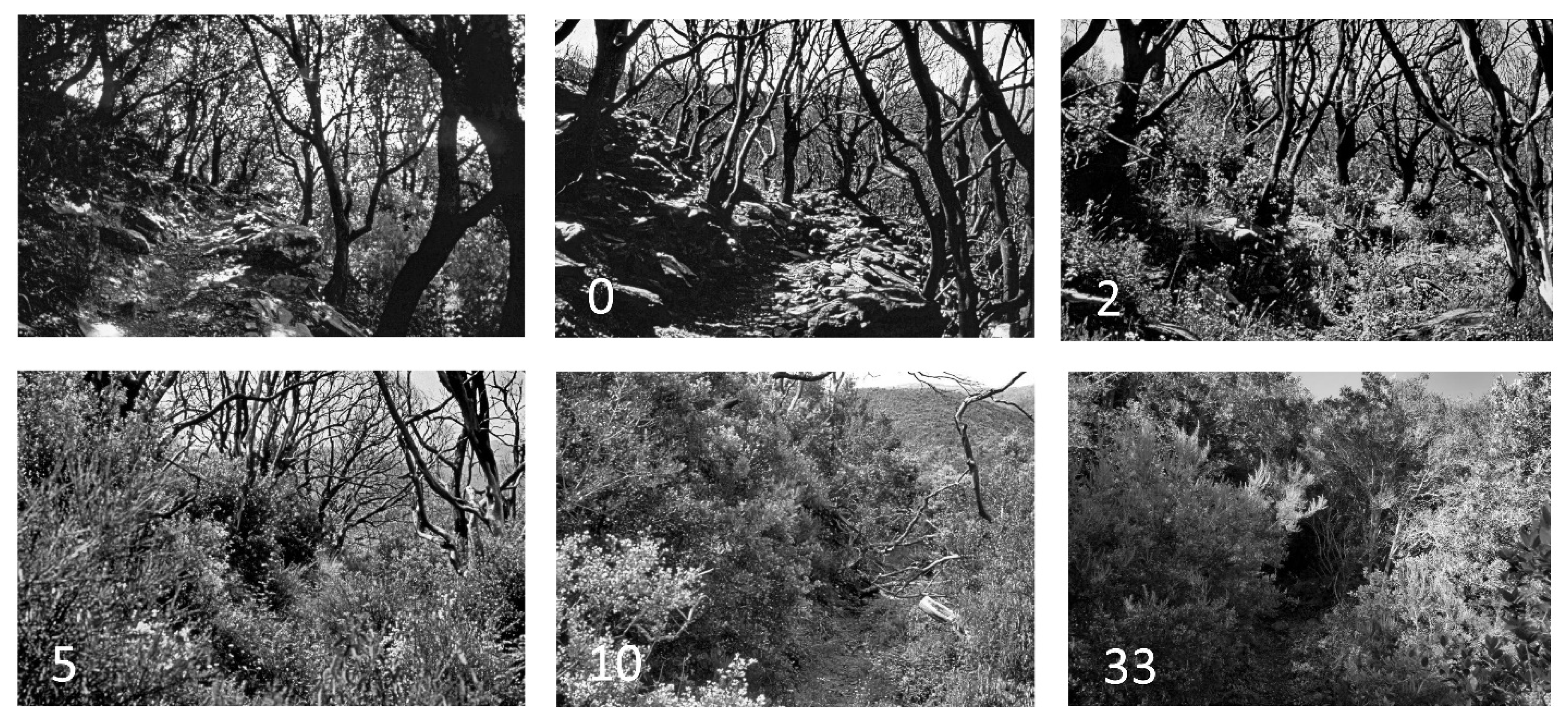 Fire 05 00183 g001 Fire 05 00183 g001