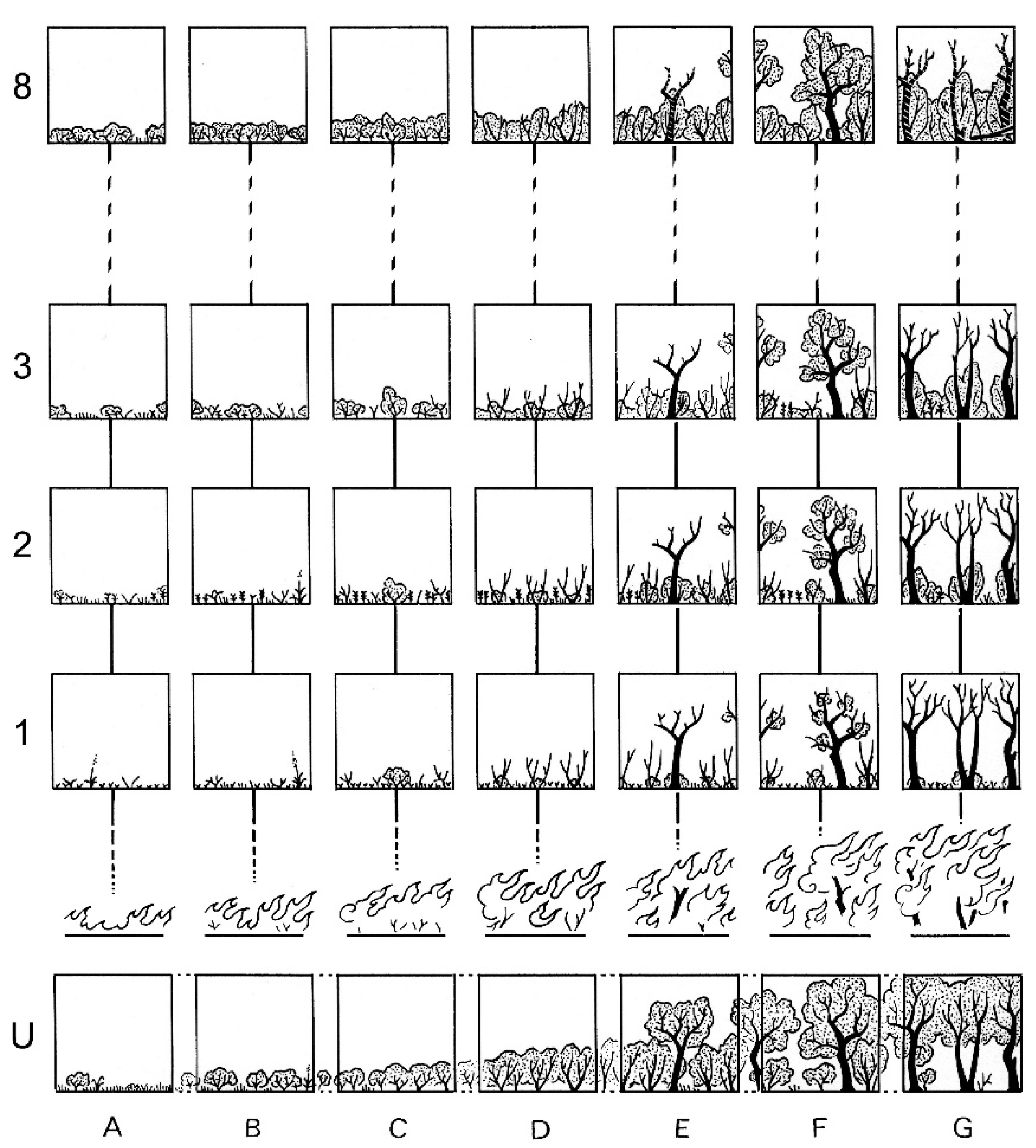 Fire 05 00183 g002 Fire 05 00183 g002