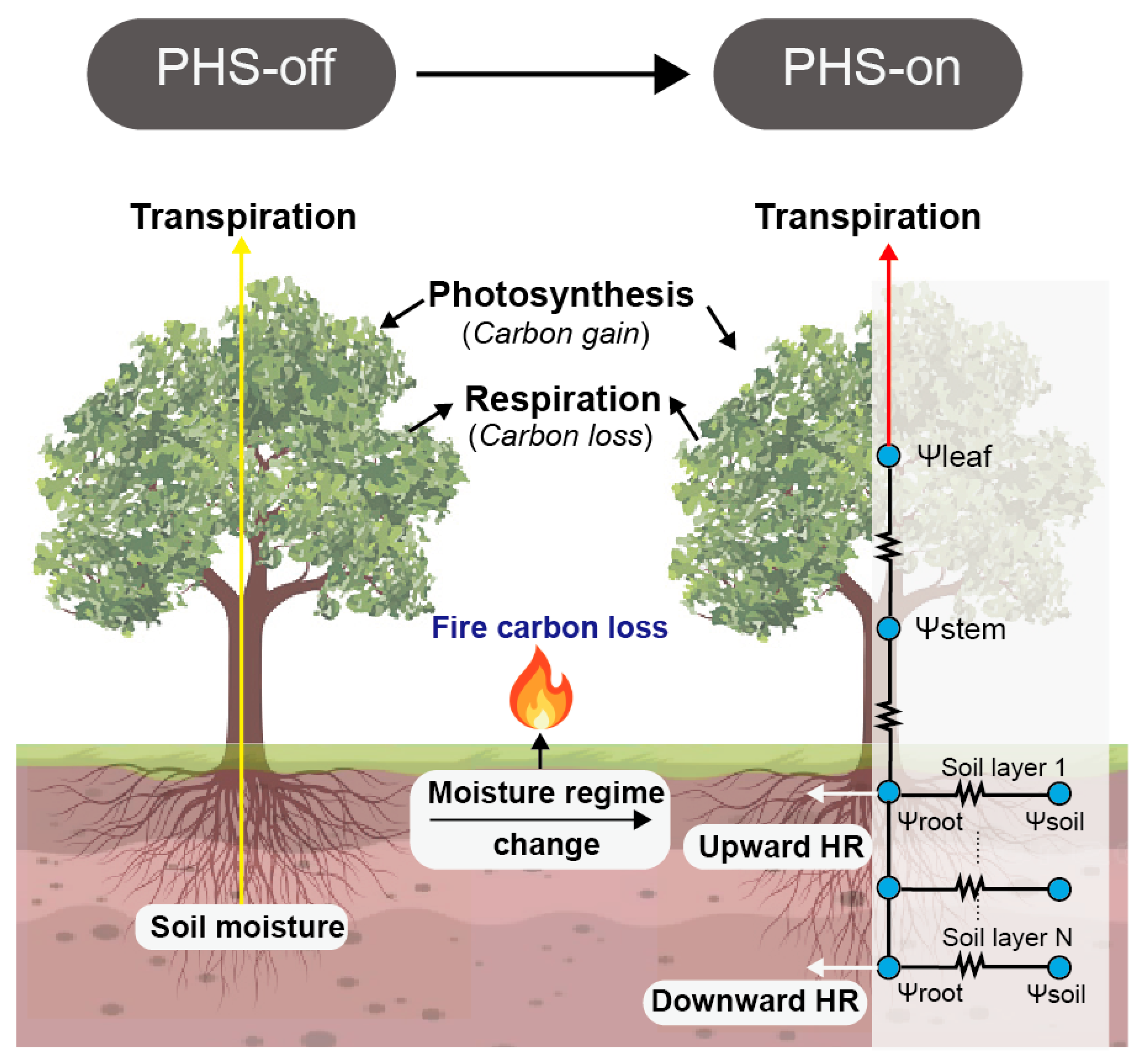 Fire 05 00187 g001 Fire 05 00187 g001