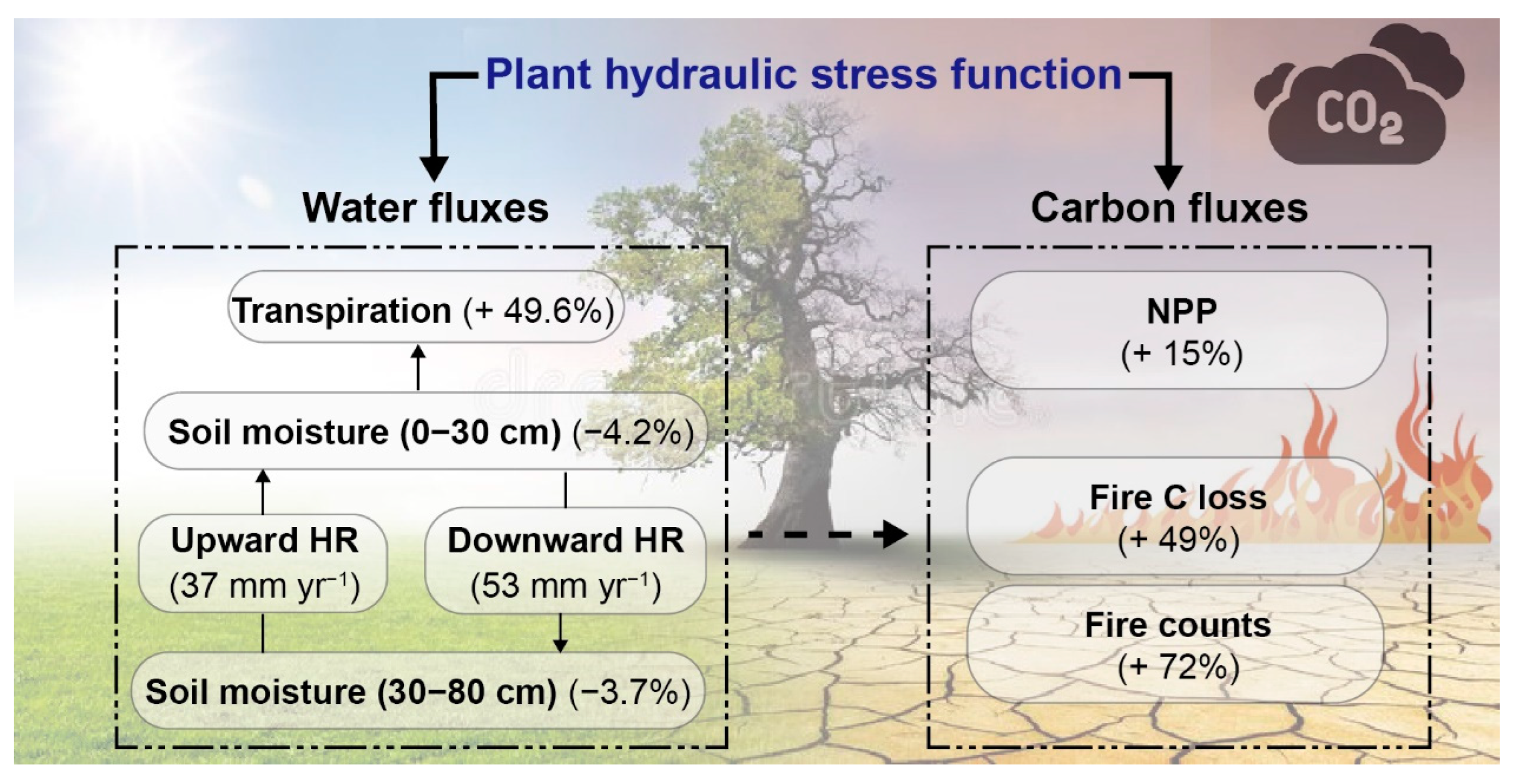 Fire 05 00187 g008 Fire 05 00187 g008