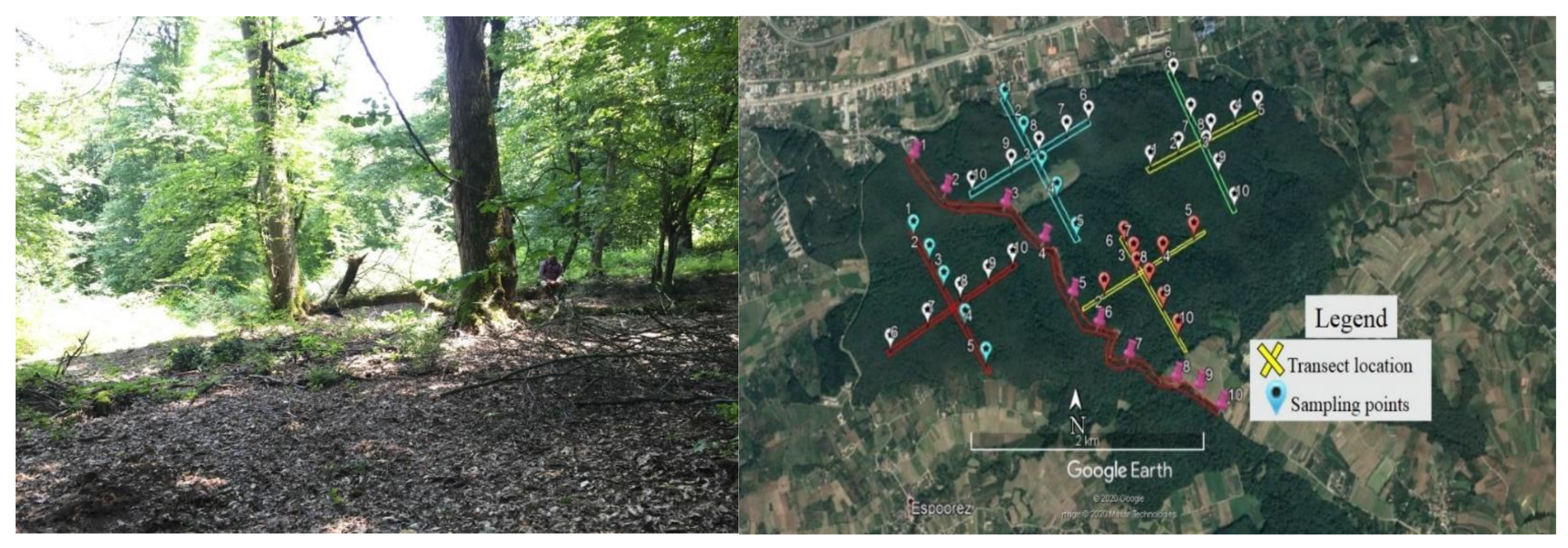 Fire 05 00195 g002 Fire 05 00195 g002