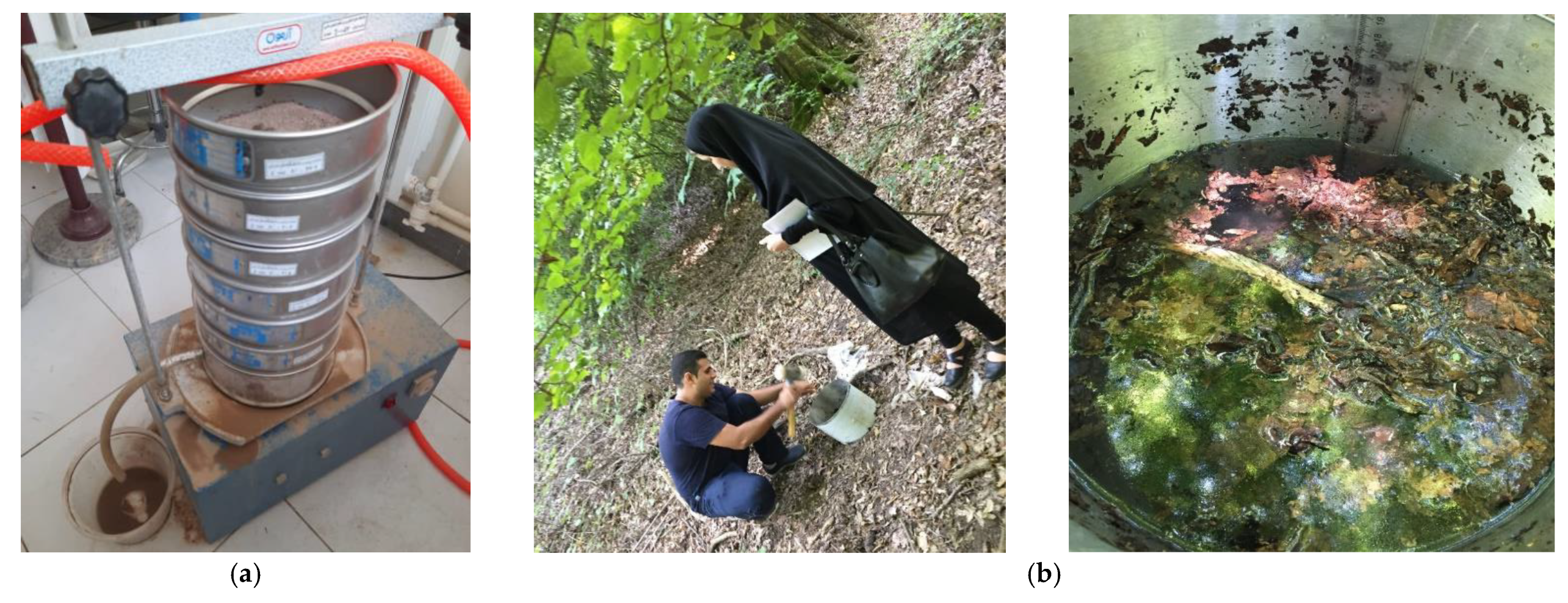 Fire 05 00195 g003 Fire 05 00195 g003