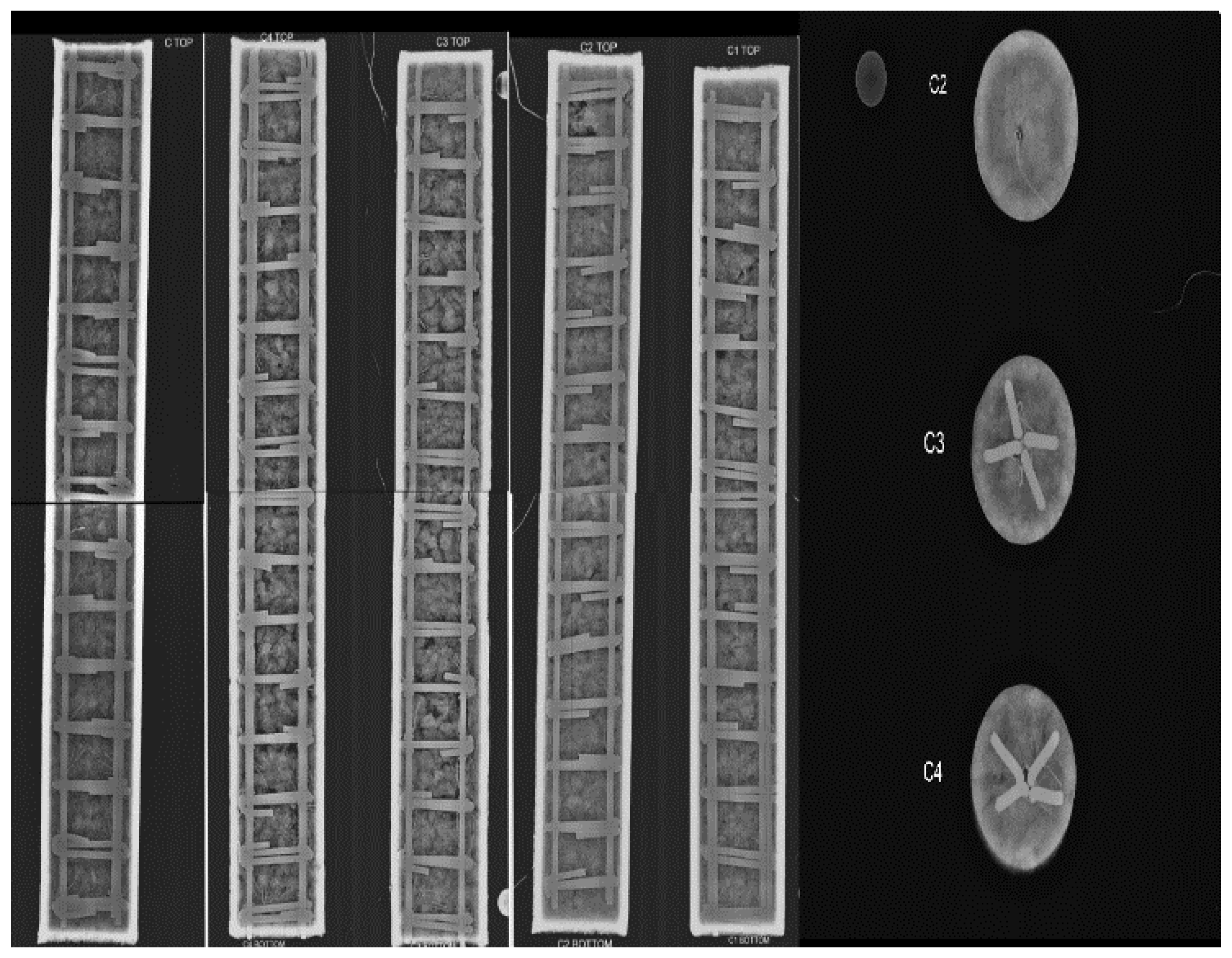 Fire 05 00205 g031 Fire 05 00205 g031