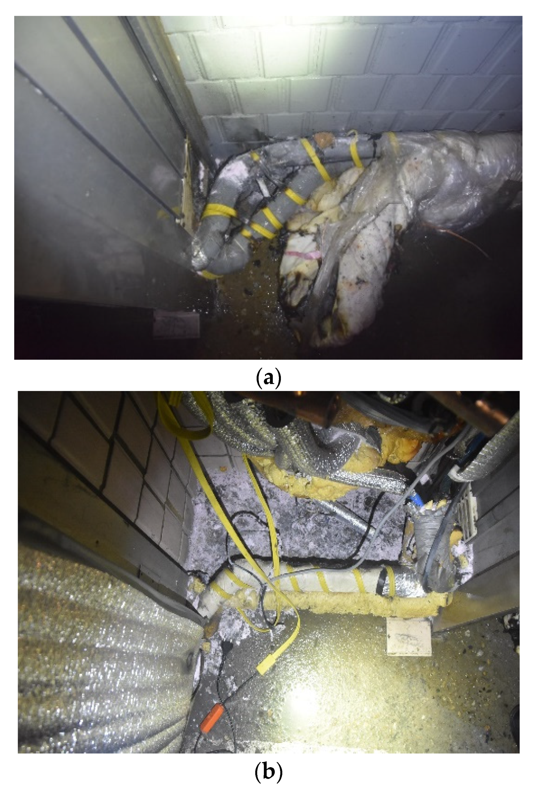 Fire 05 00216 g007 550