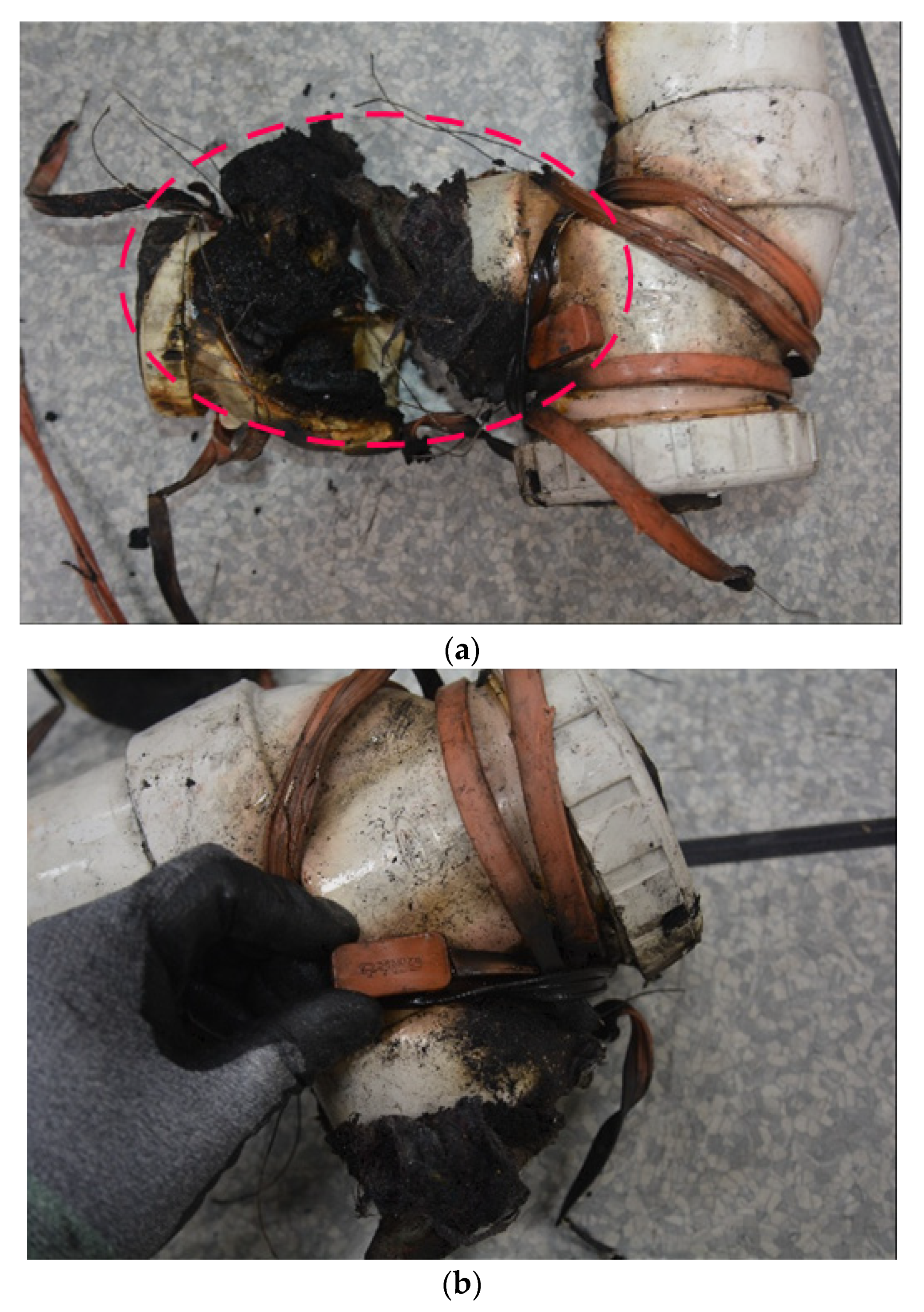 Fire 05 00216 g008 550