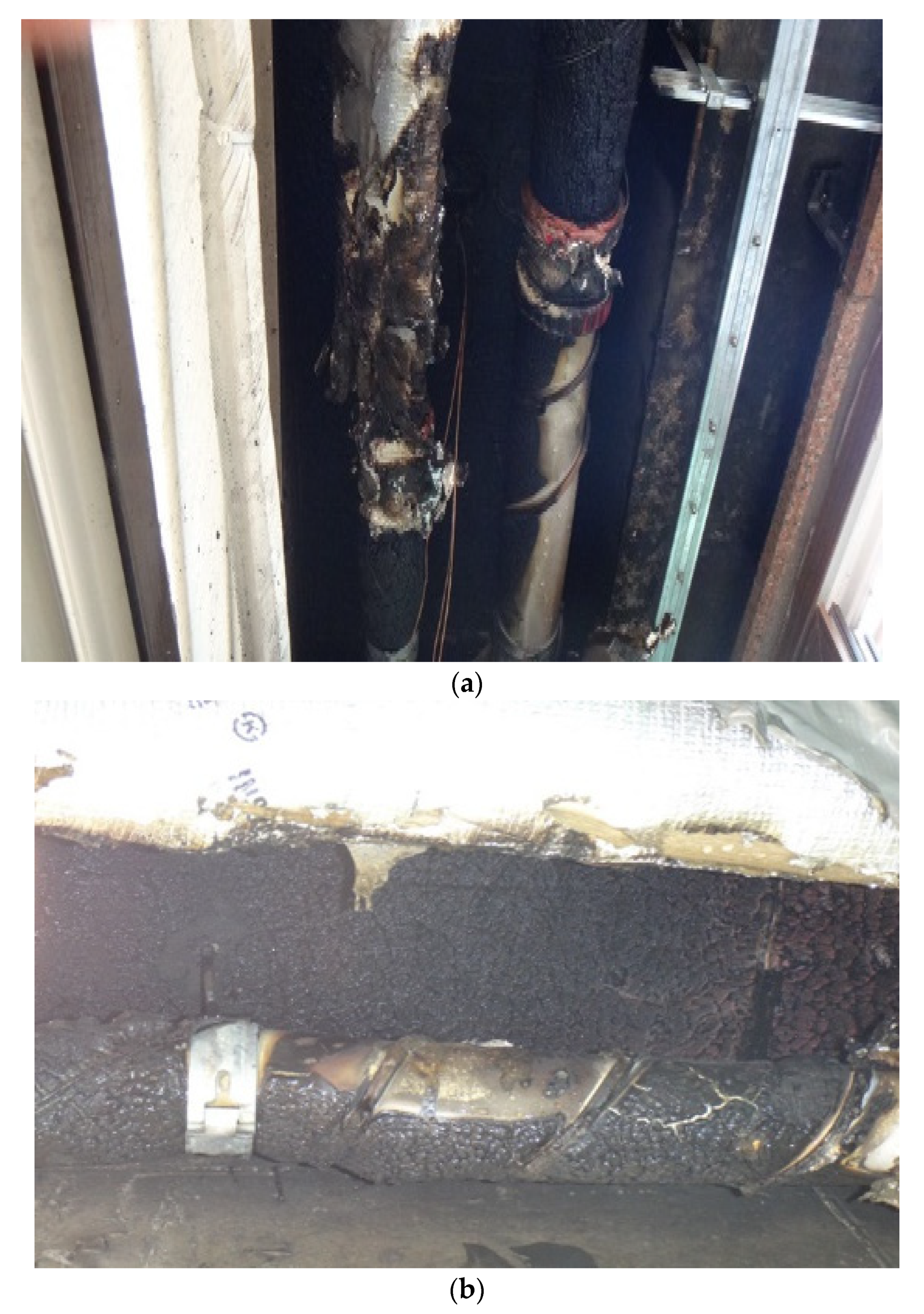 Fire 05 00216 g009 550