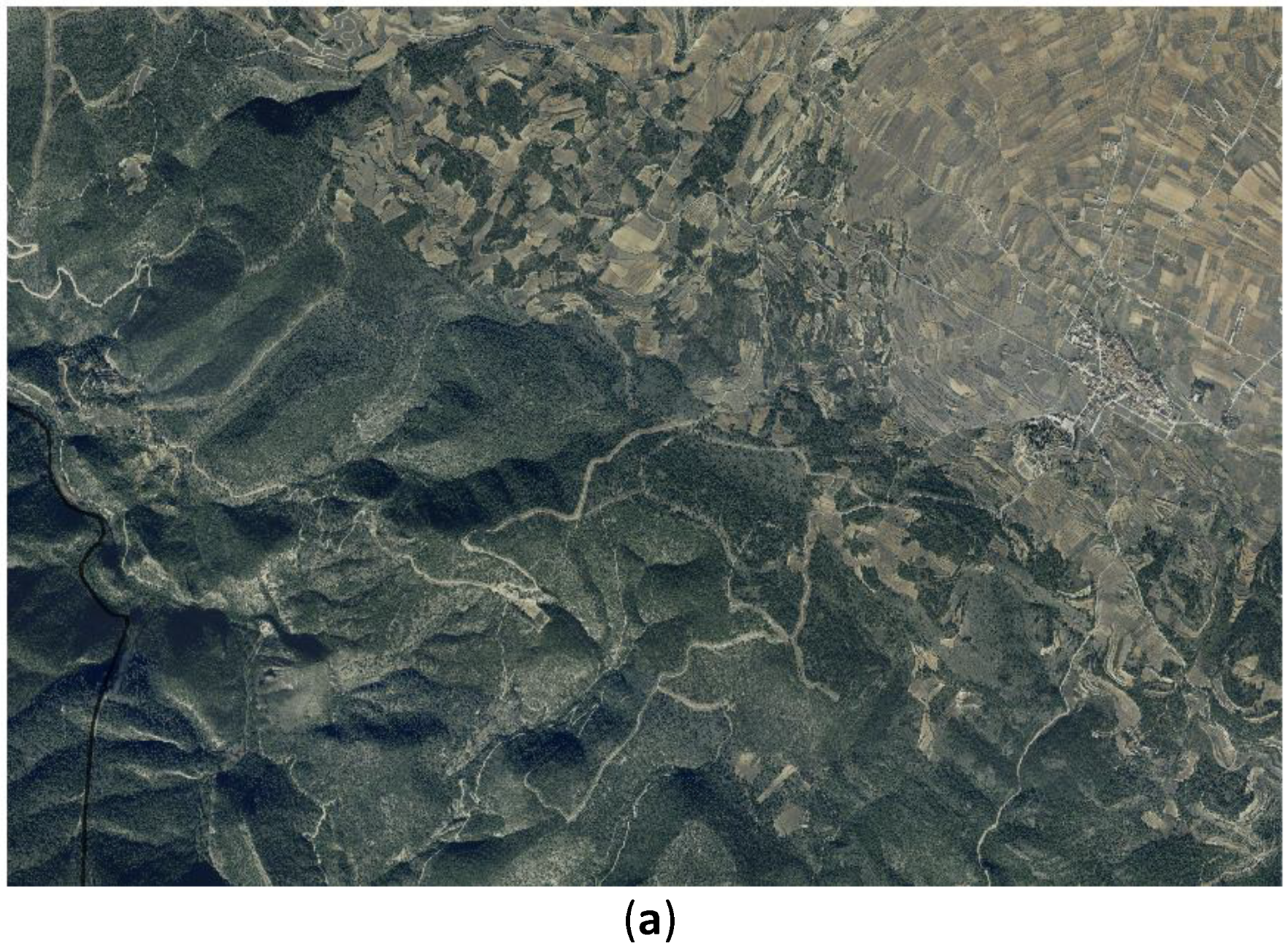 Fire 06 00008 g009a Fire 06 00008 g009a