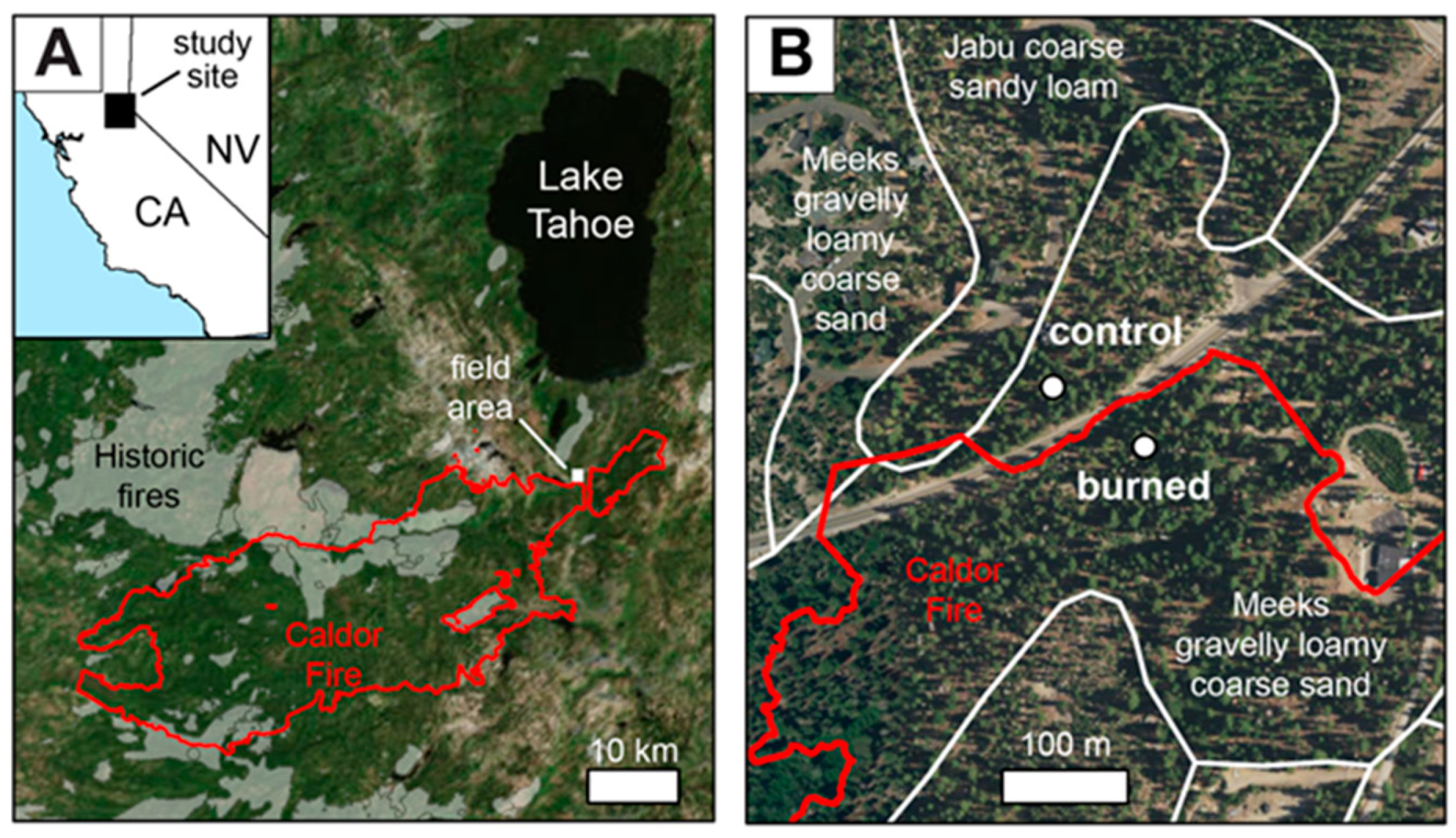 Fire 06 00066 g001a Fire 06 00066 g001a