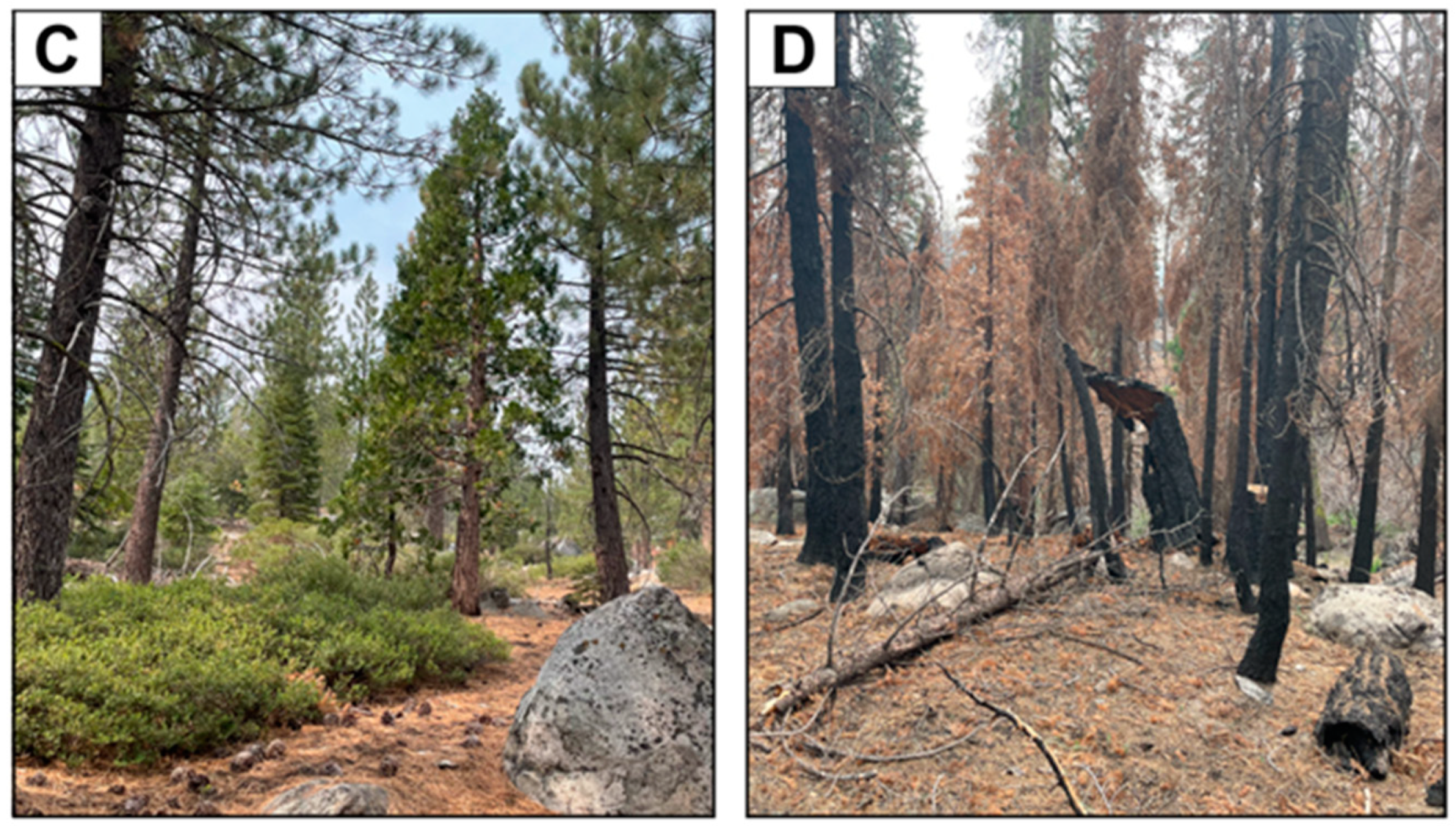 Fire 06 00066 g001b Fire 06 00066 g001b