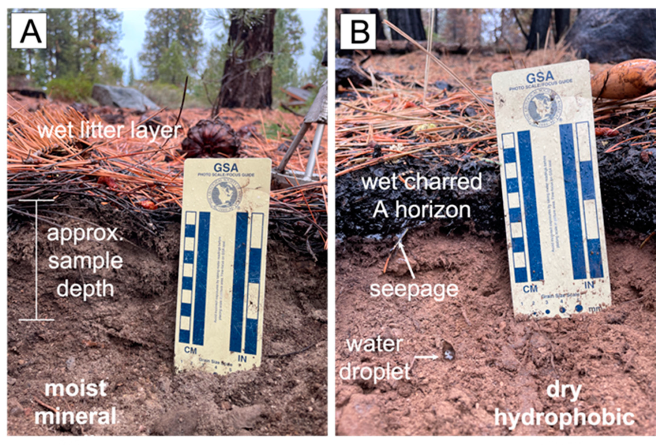 Fire 06 00066 g009 Fire 06 00066 g009