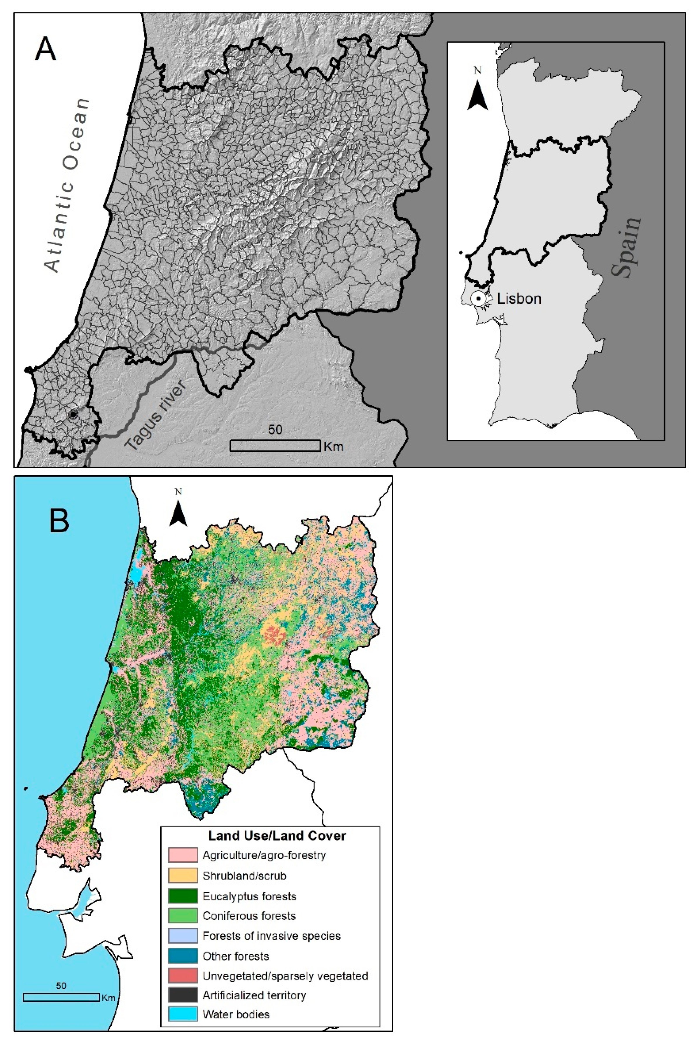 Portugal - Mapa Algarve (TP - SD)