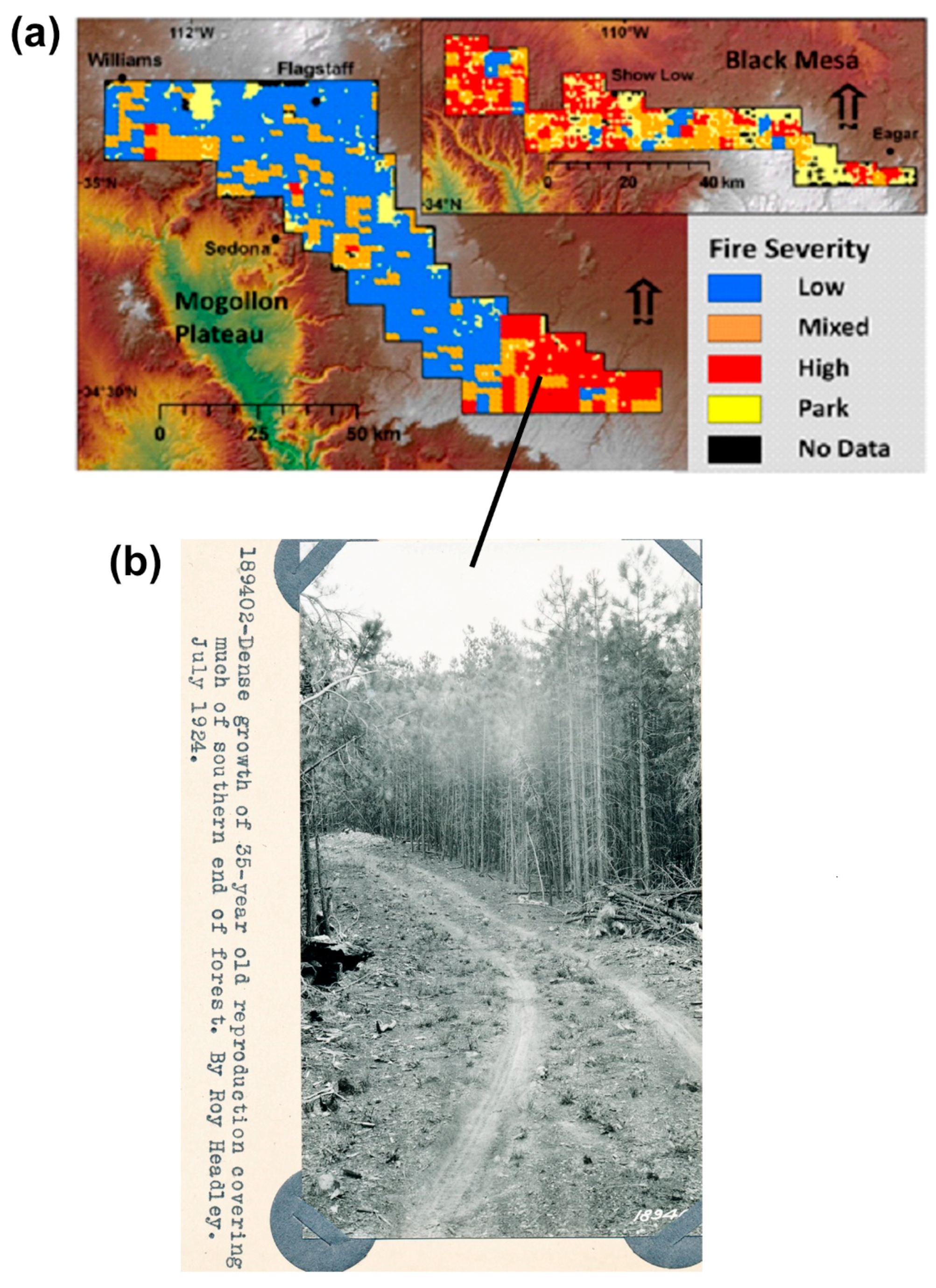 Fire 06 00146 g002 Fire 06 00146 g002