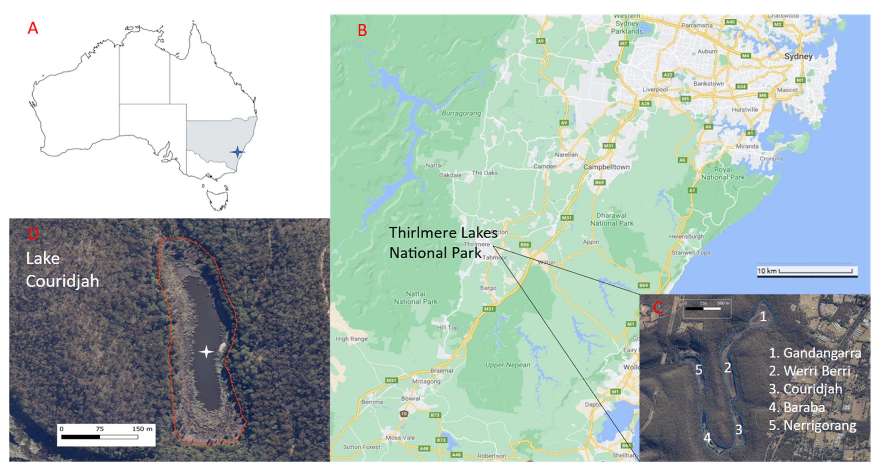 Fire 06 00152 g001 Fire 06 00152 g001