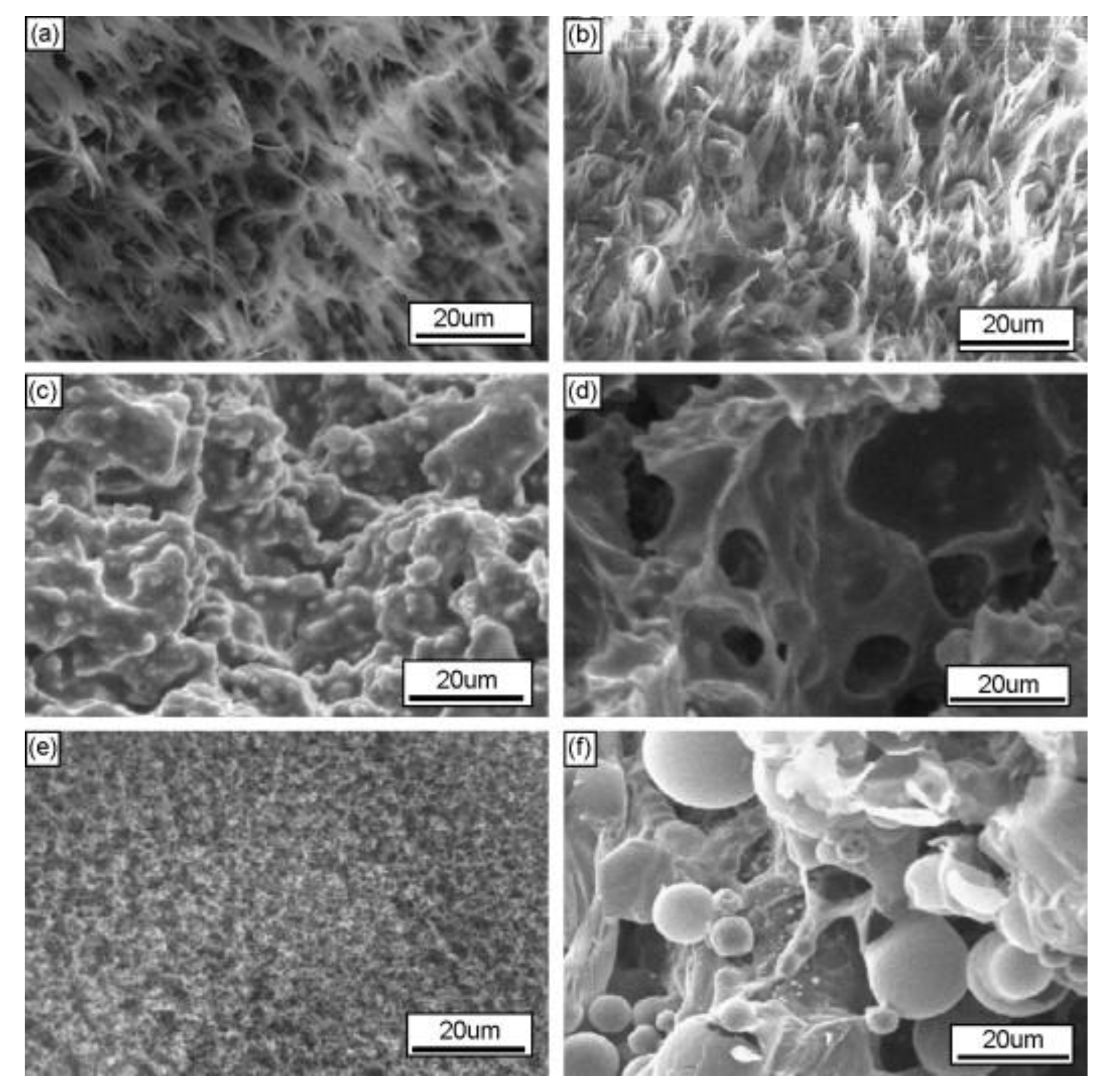 Fire 06 00175 g010 Fire 06 00175 g010