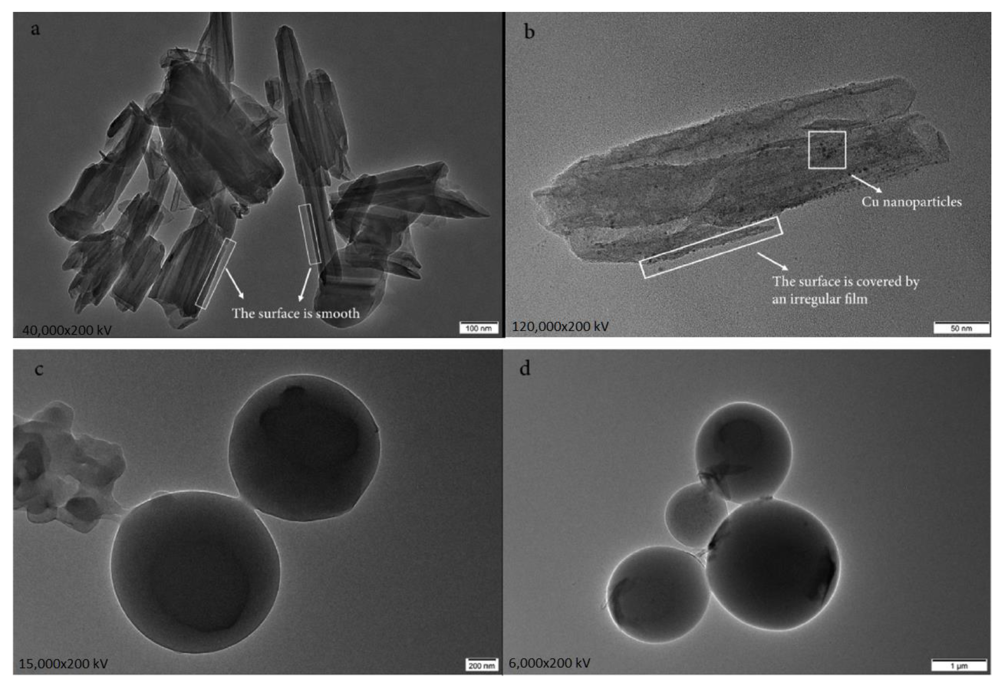 Fire 06 00175 g016 Fire 06 00175 g016