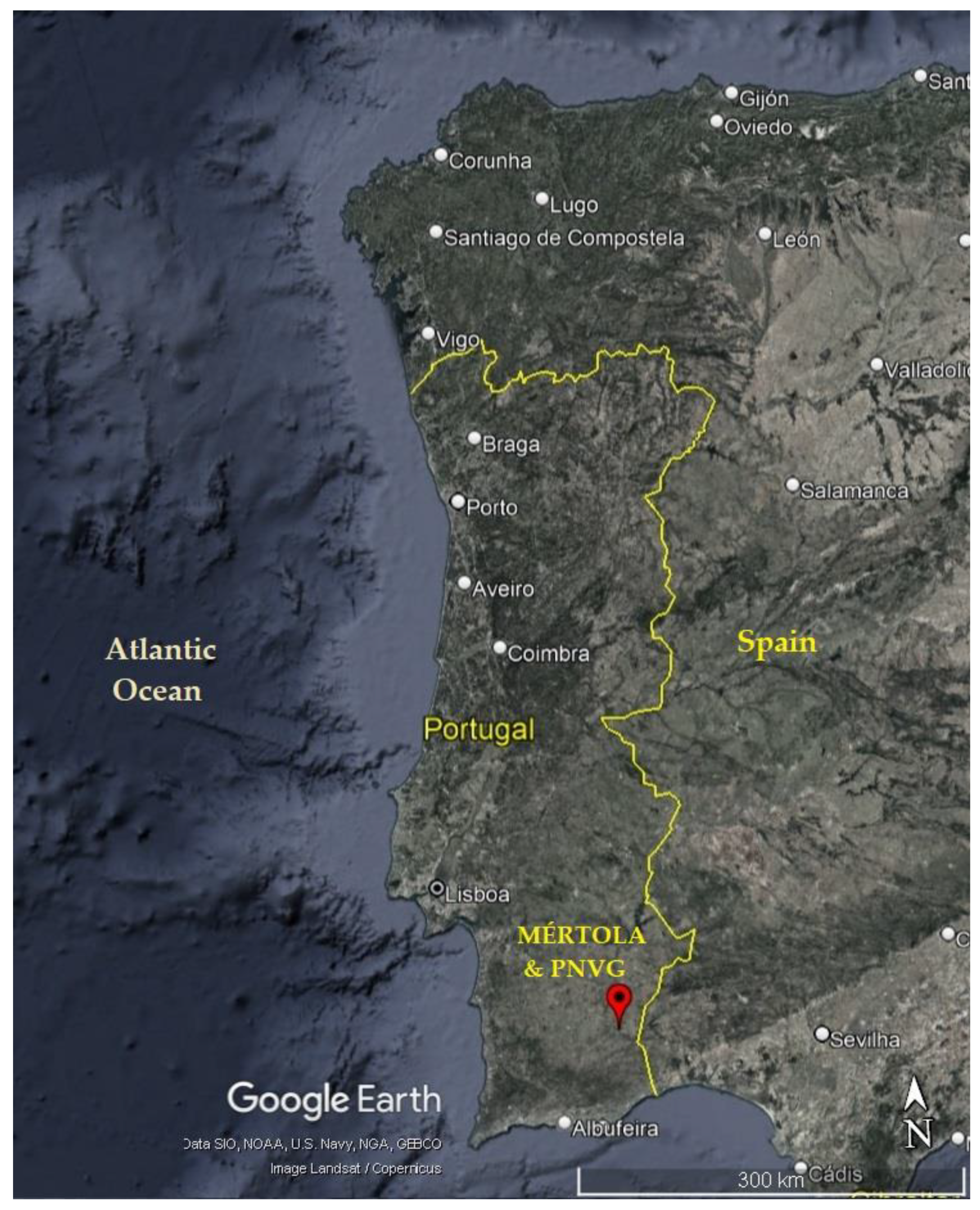 mapa de portugal cidades - Pesquisa Google