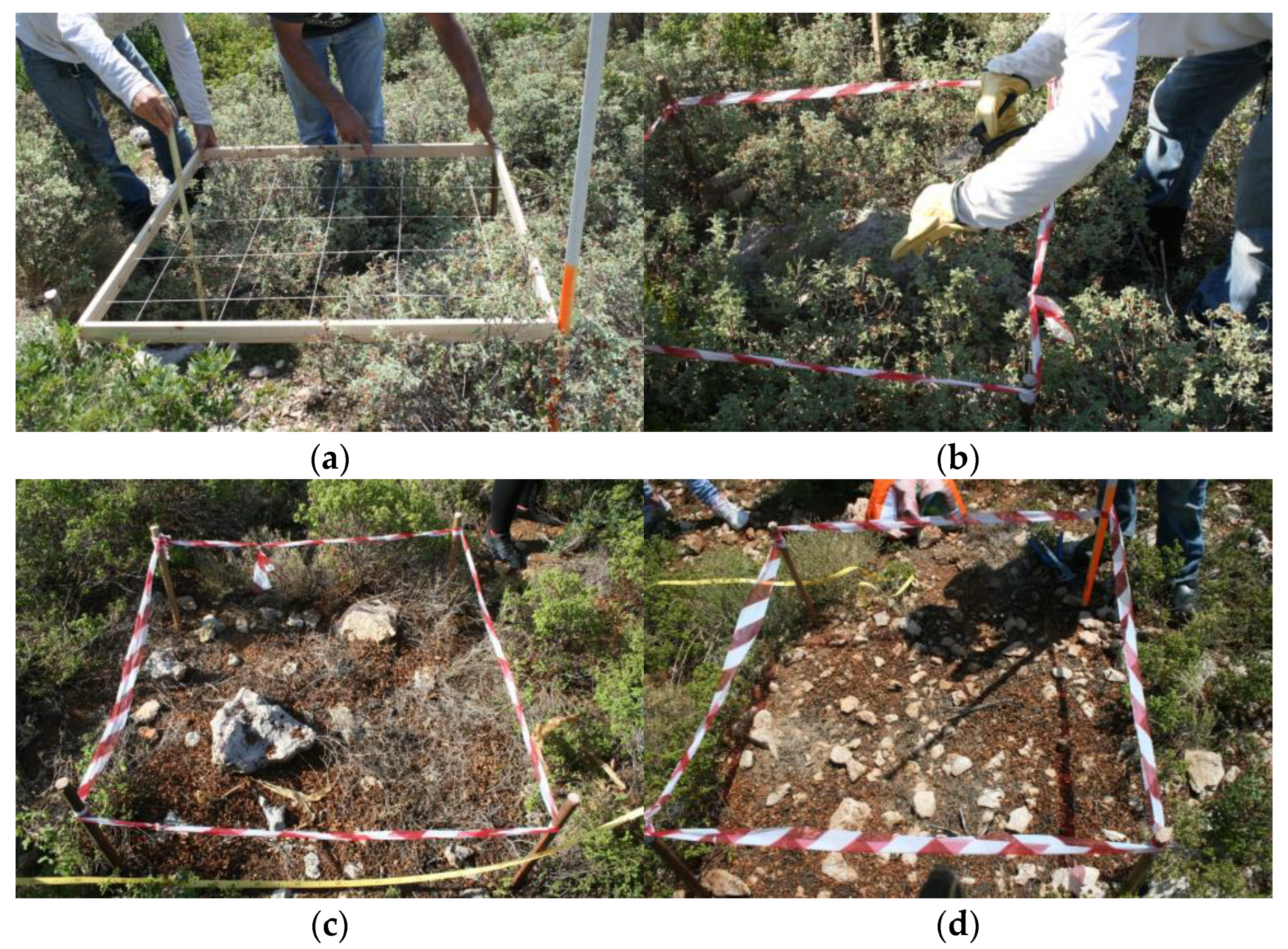 Fire 06 00247 g003 Fire 06 00247 g003