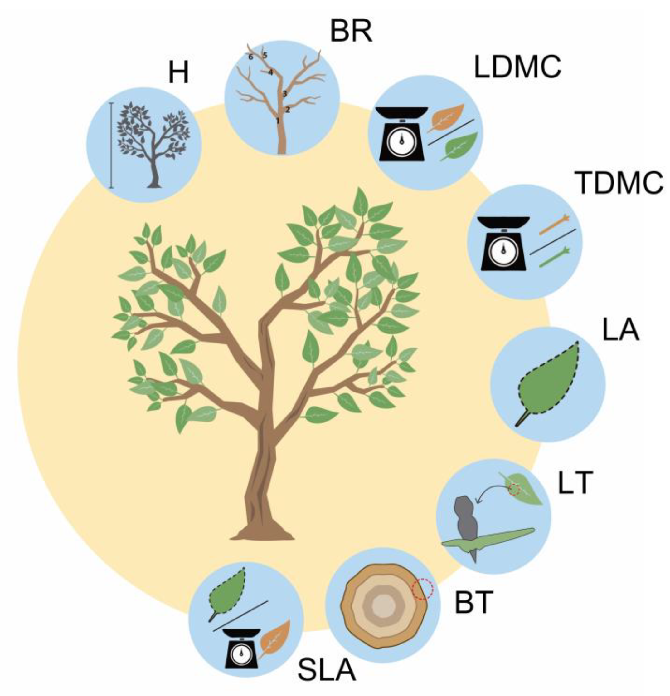 Fire 06 00265 g002 Fire 06 00265 g002