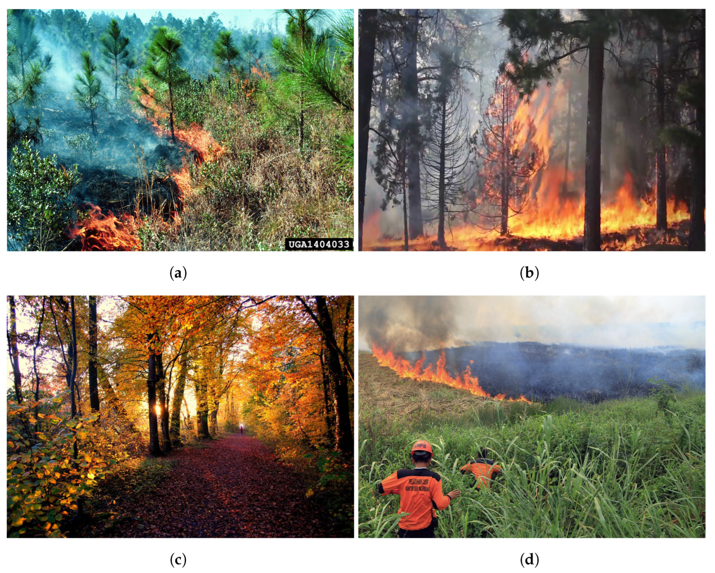 Fire 06 00291 g001 Fire 06 00291 g001