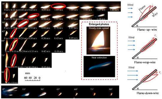 Research Progress on the Fire Characteristics of Electric Cables and Wires