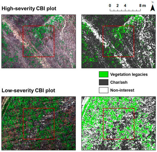 True Color Rgb Integrating Physical-Based Models and Structure-from-Motion ...