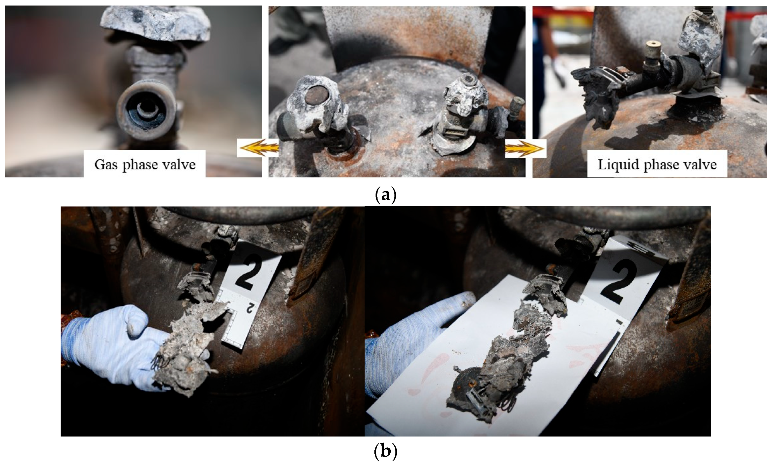 Fire 07 00310 g008 Fire 07 00310 g008