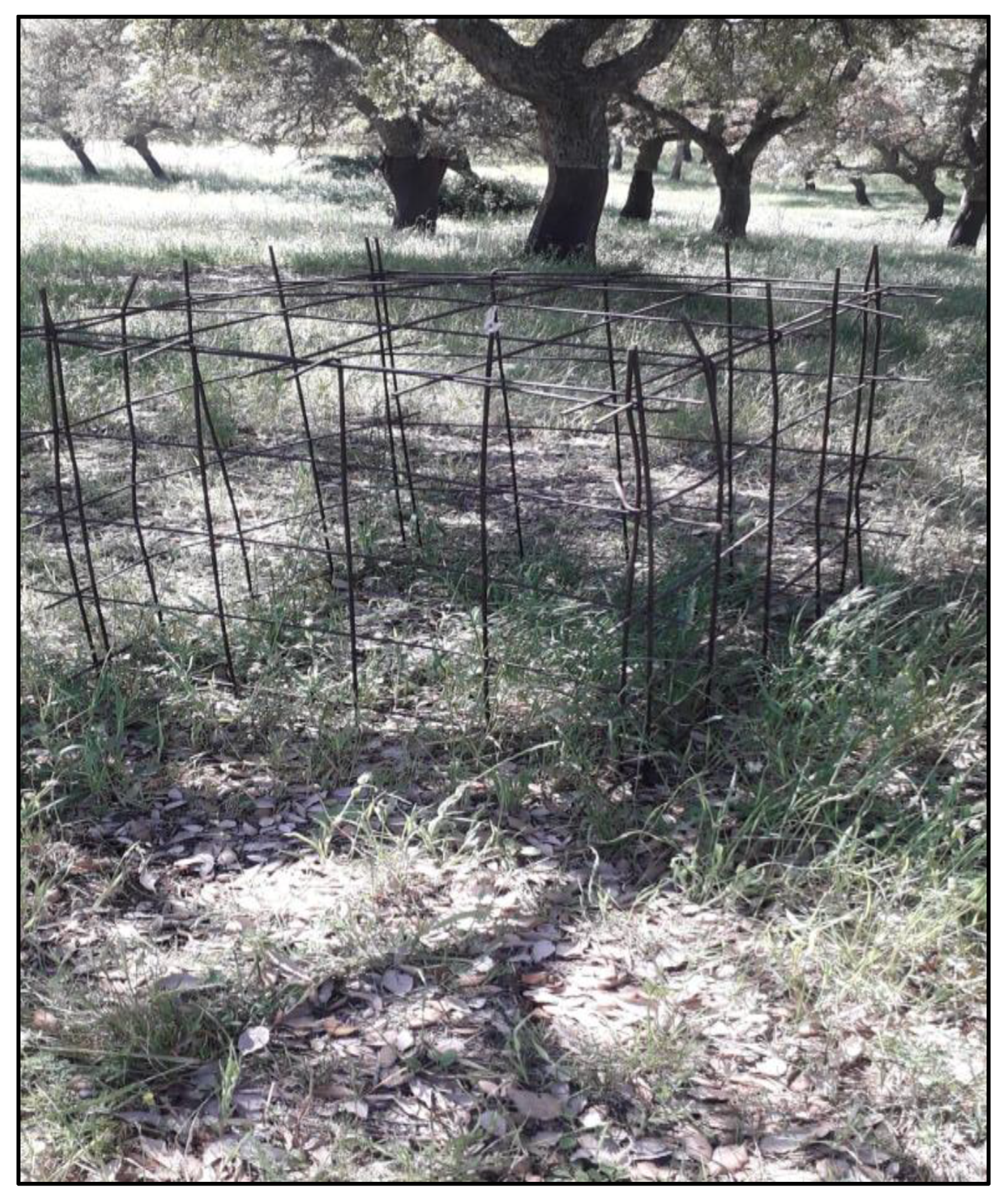 Fire 07 00409 sch001