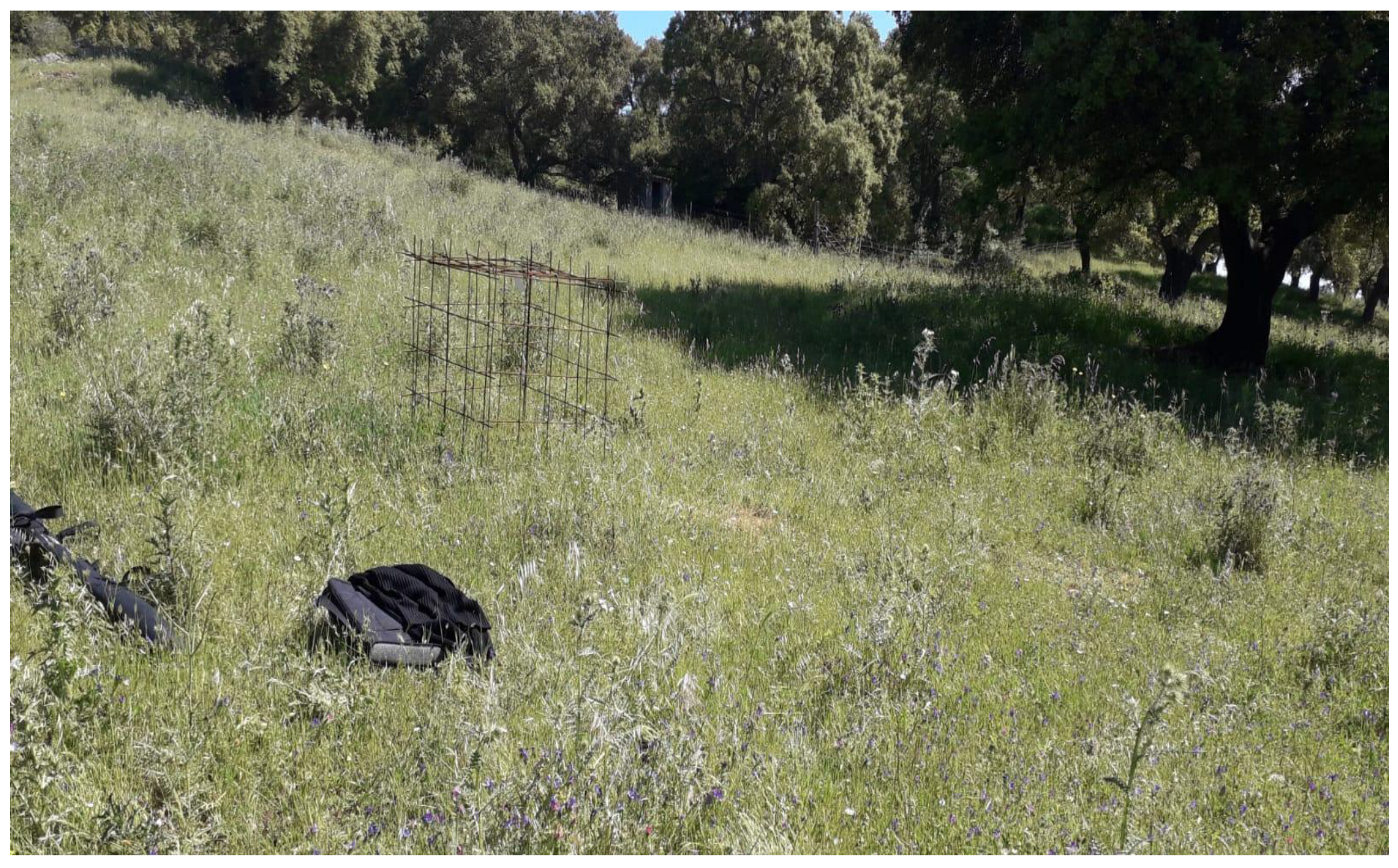 Fire 07 00409 sch002