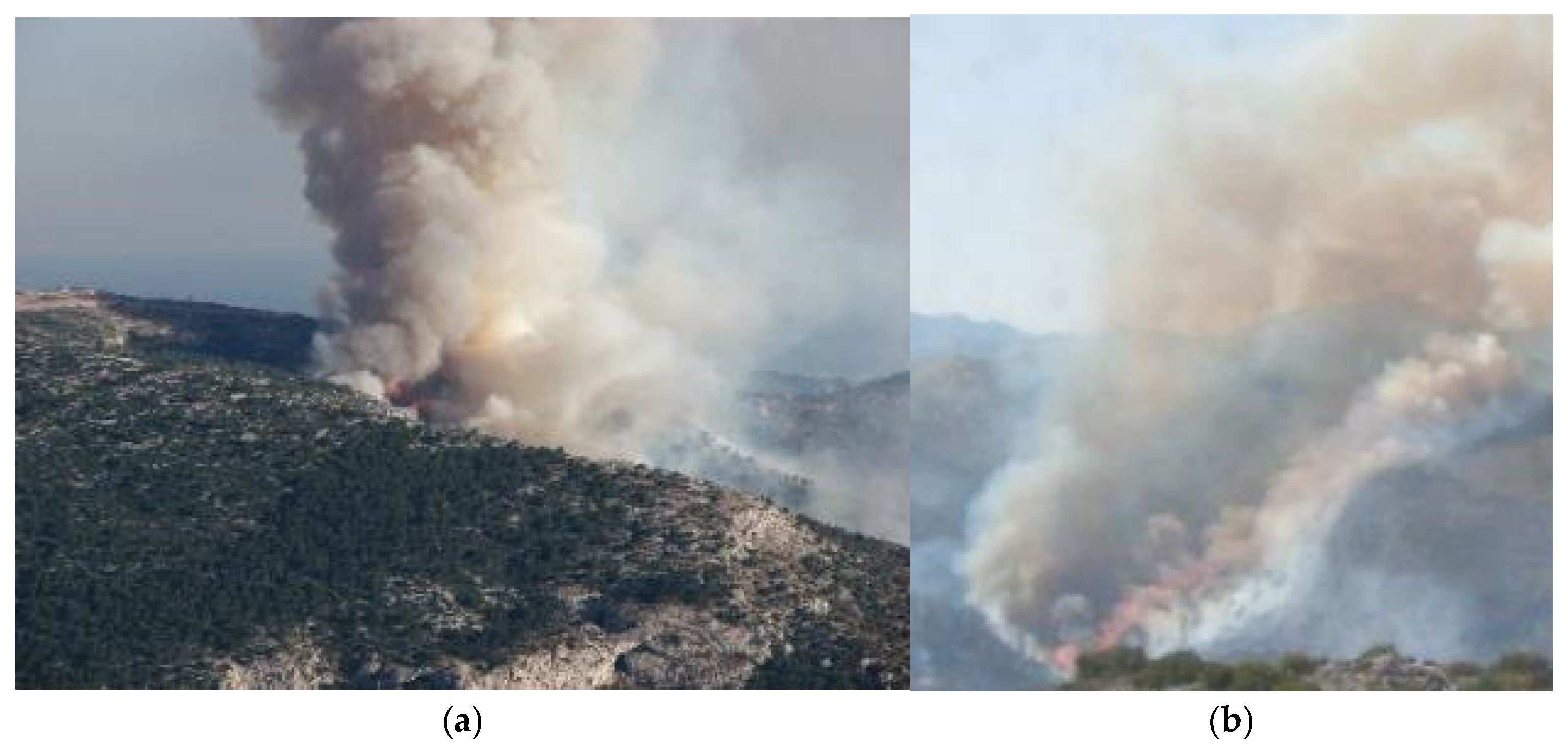 Fire 08 00058 g010 Fire 08 00058 g010