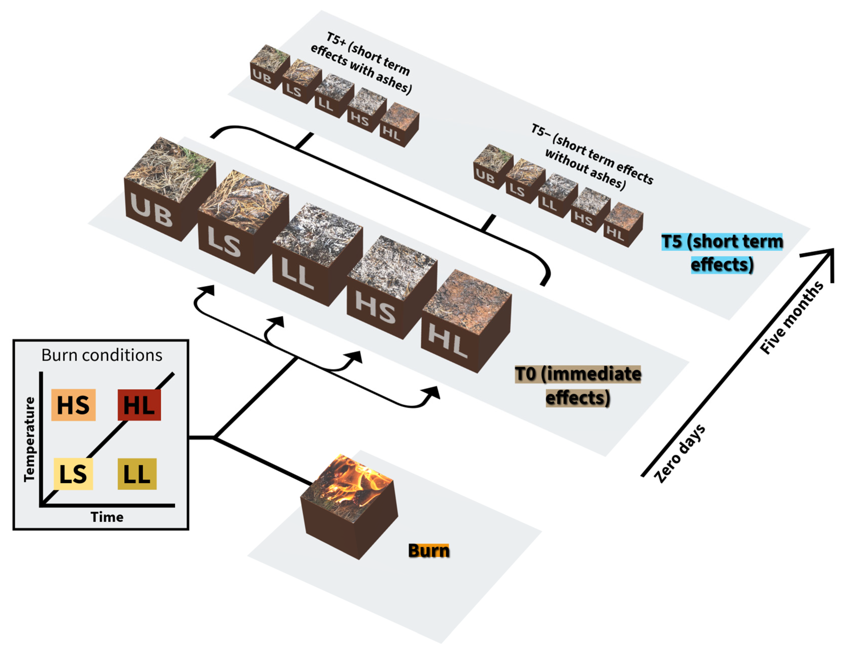 Fire 08 00351 g001 Fire 08 00351 g001