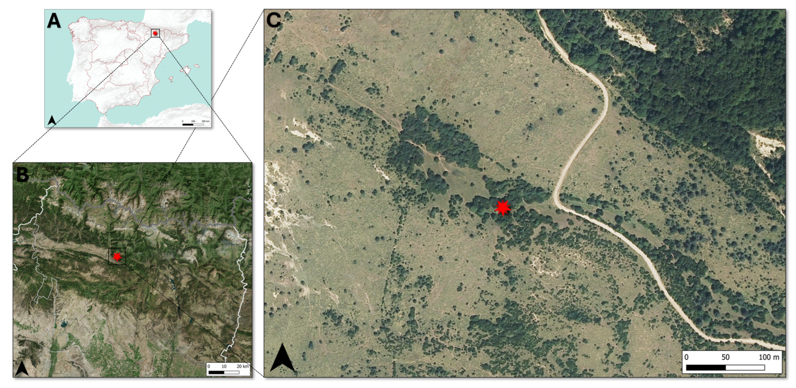 Fire 08 00351 g0a1 Fire 08 00351 g0a1