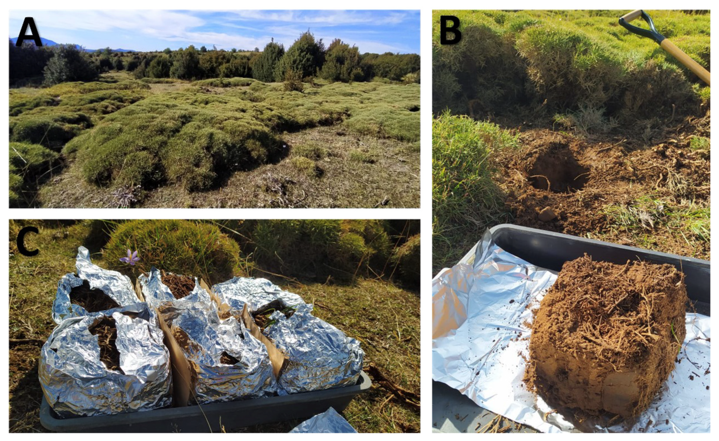 Fire 08 00351 g0a2 Fire 08 00351 g0a2