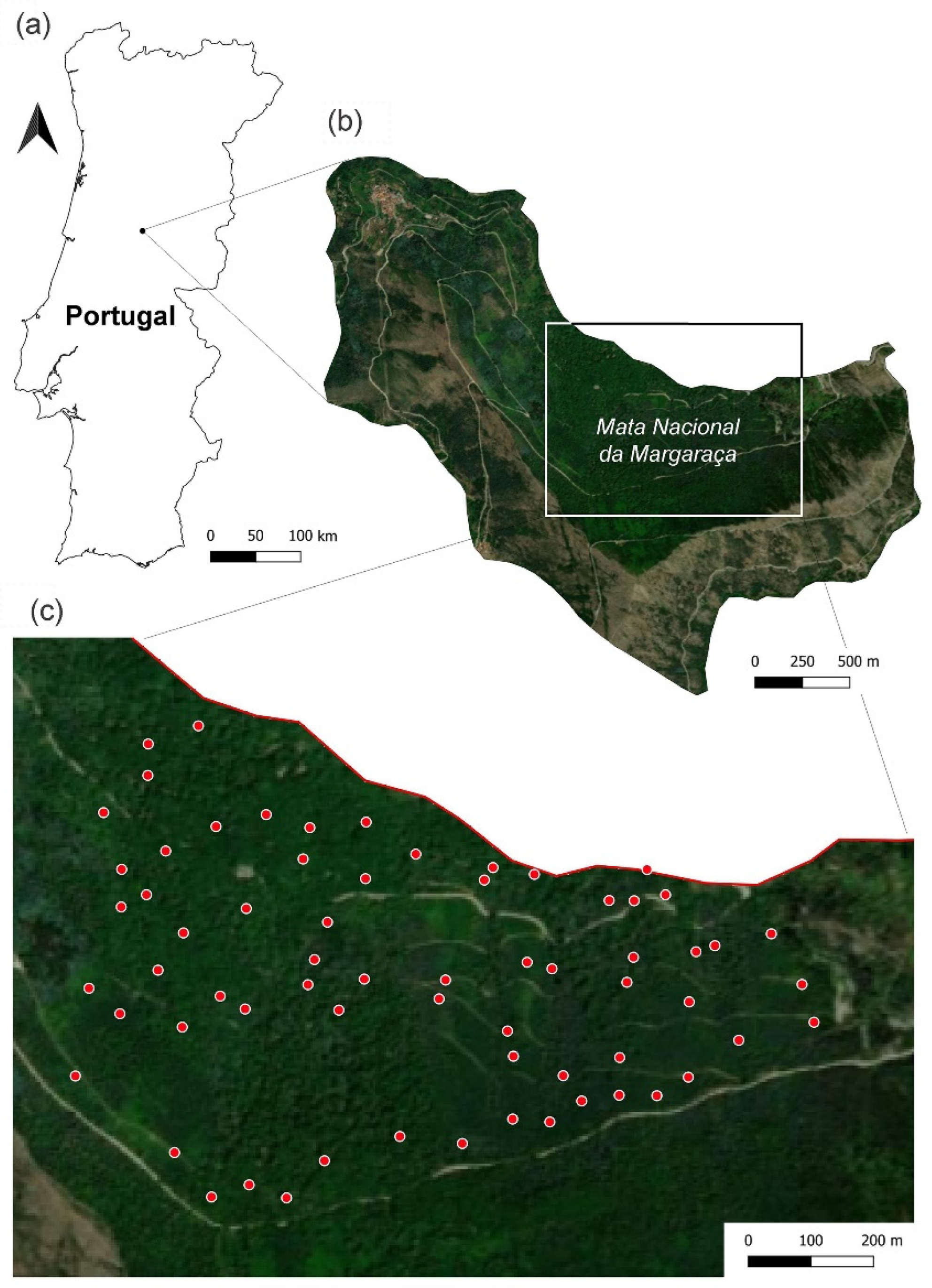 Fire 08 00438 g001 Fire 08 00438 g001