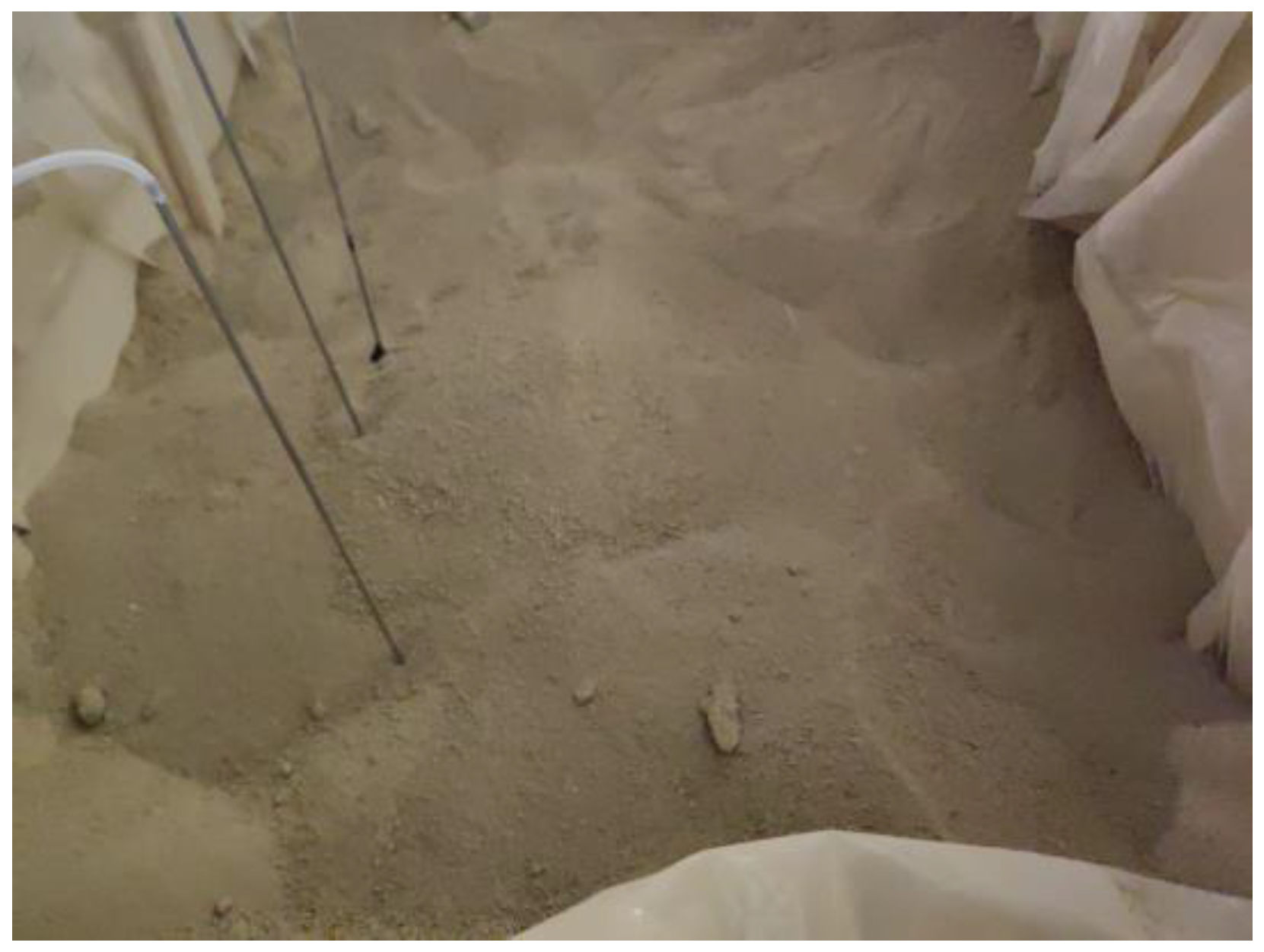 Fire 08 00454 g005 Fire 08 00454 g005