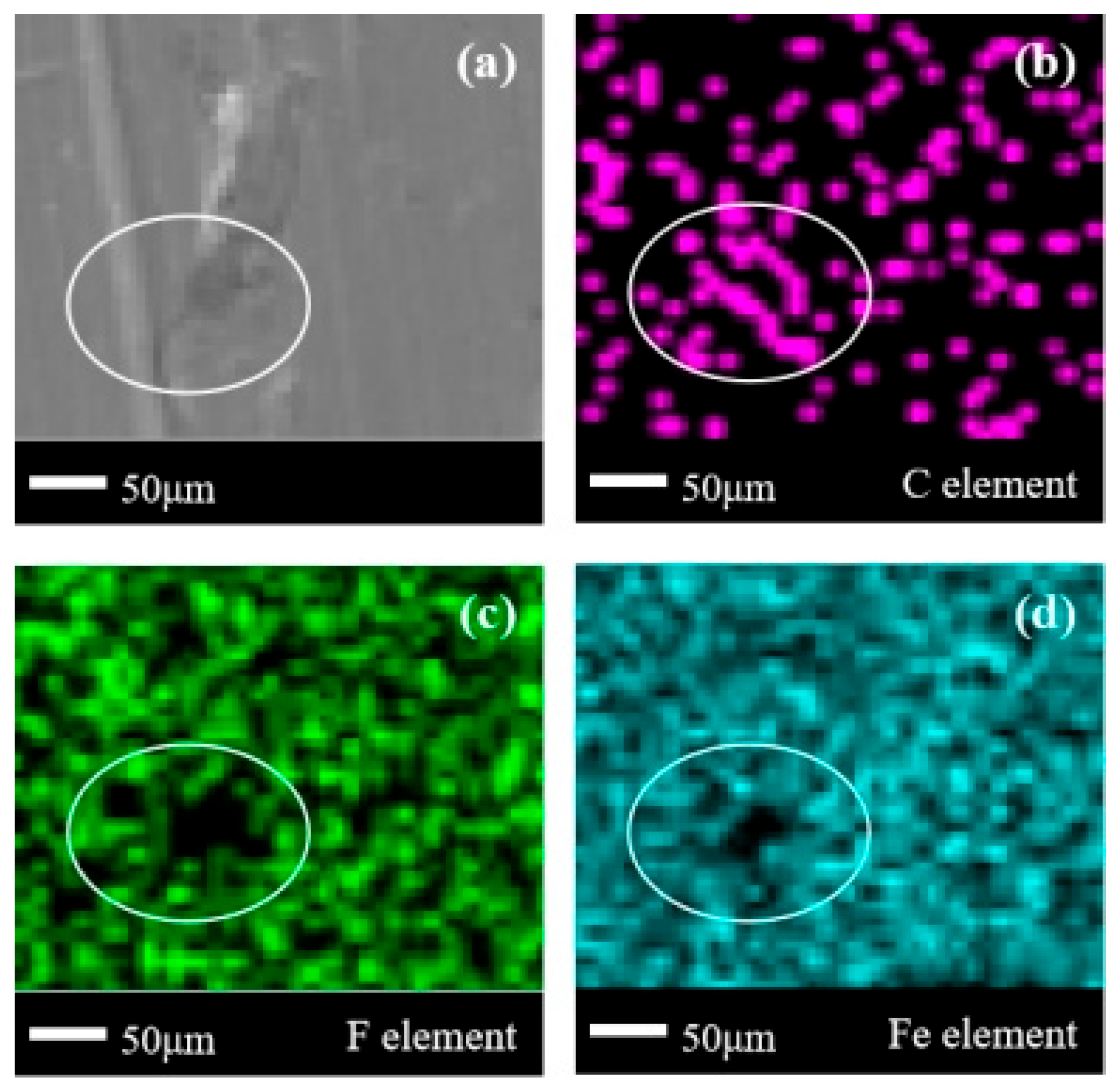 Fire 08 00459 g008 Fire 08 00459 g008