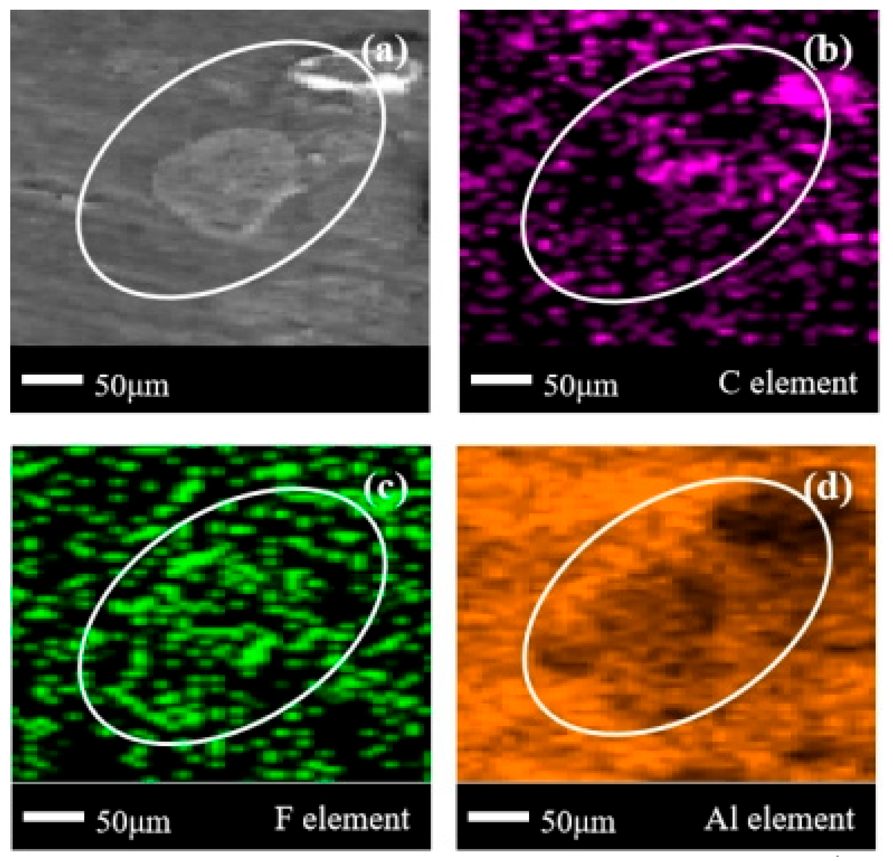 Fire 08 00459 g011 Fire 08 00459 g011