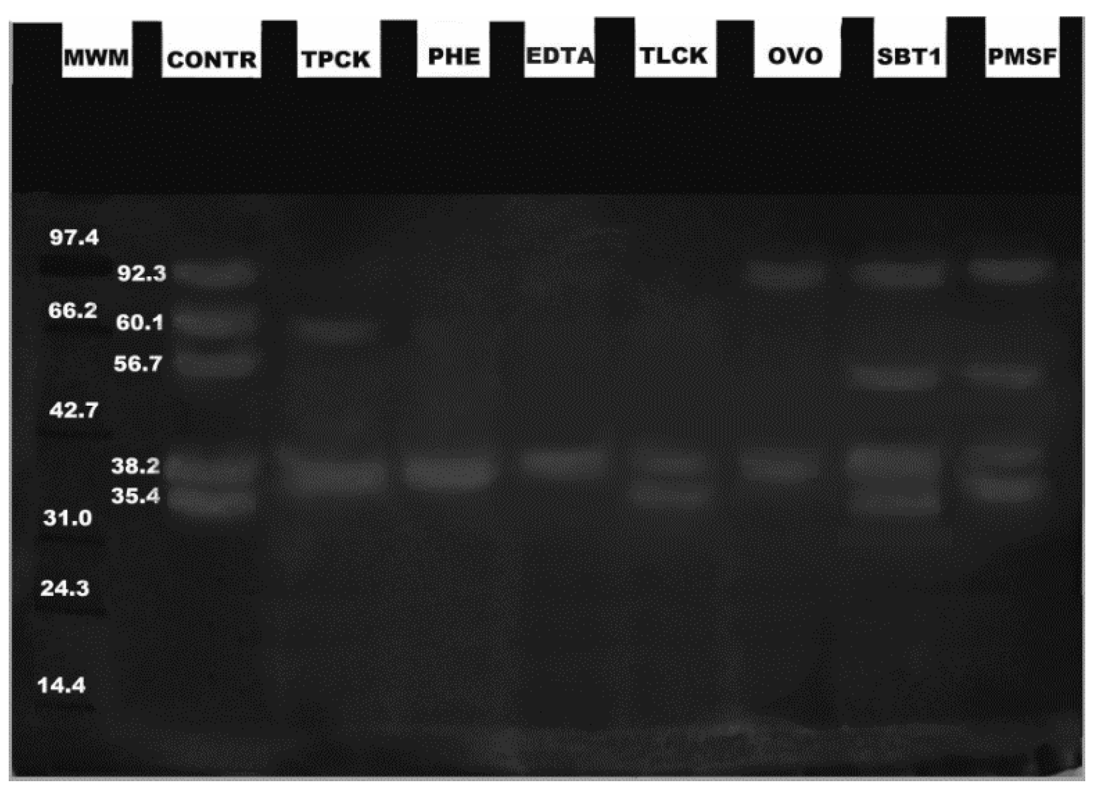 Fishes 02 00004 g004 550