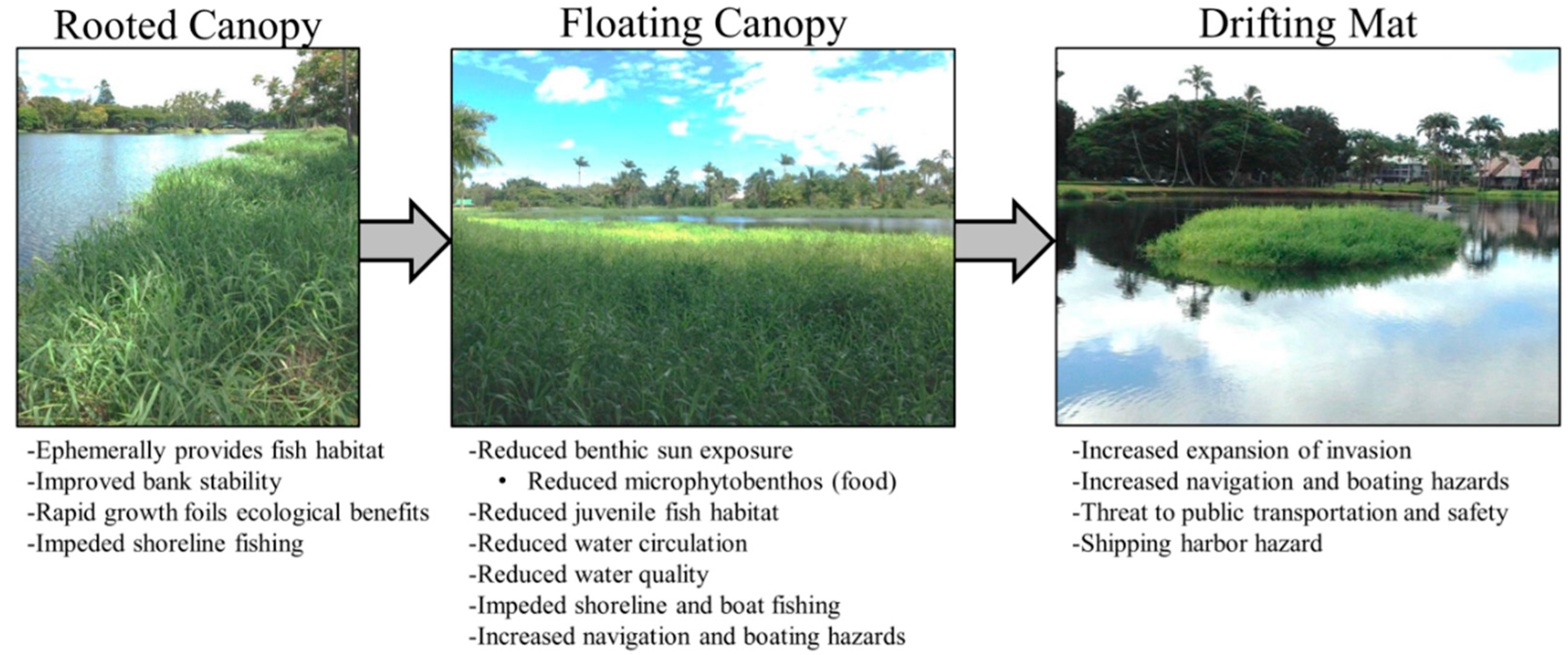 Fishes 02 00007 g002