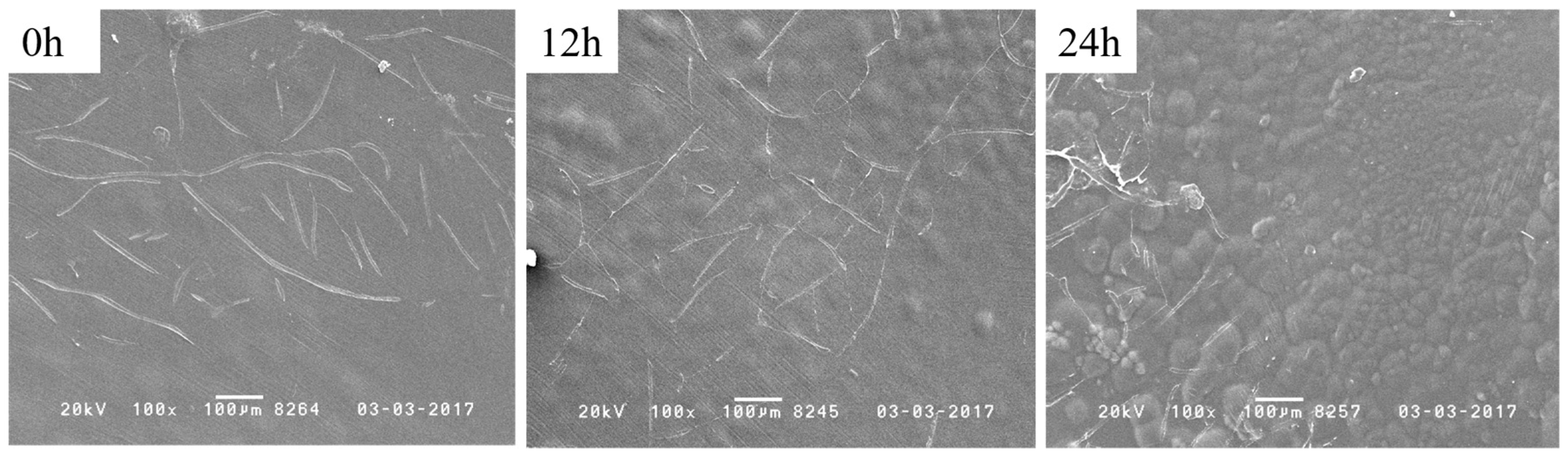 Fishes 02 00010 g008