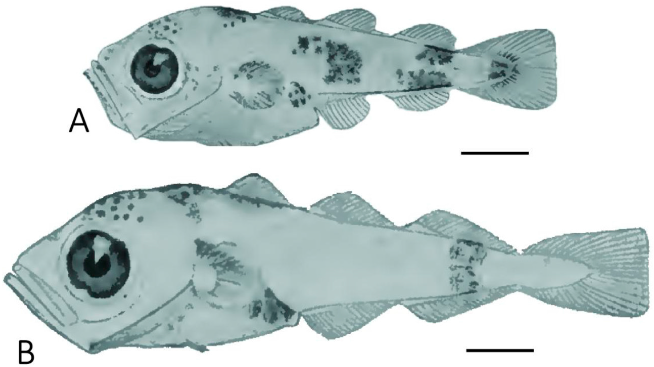 Fishes 02 00015 g001