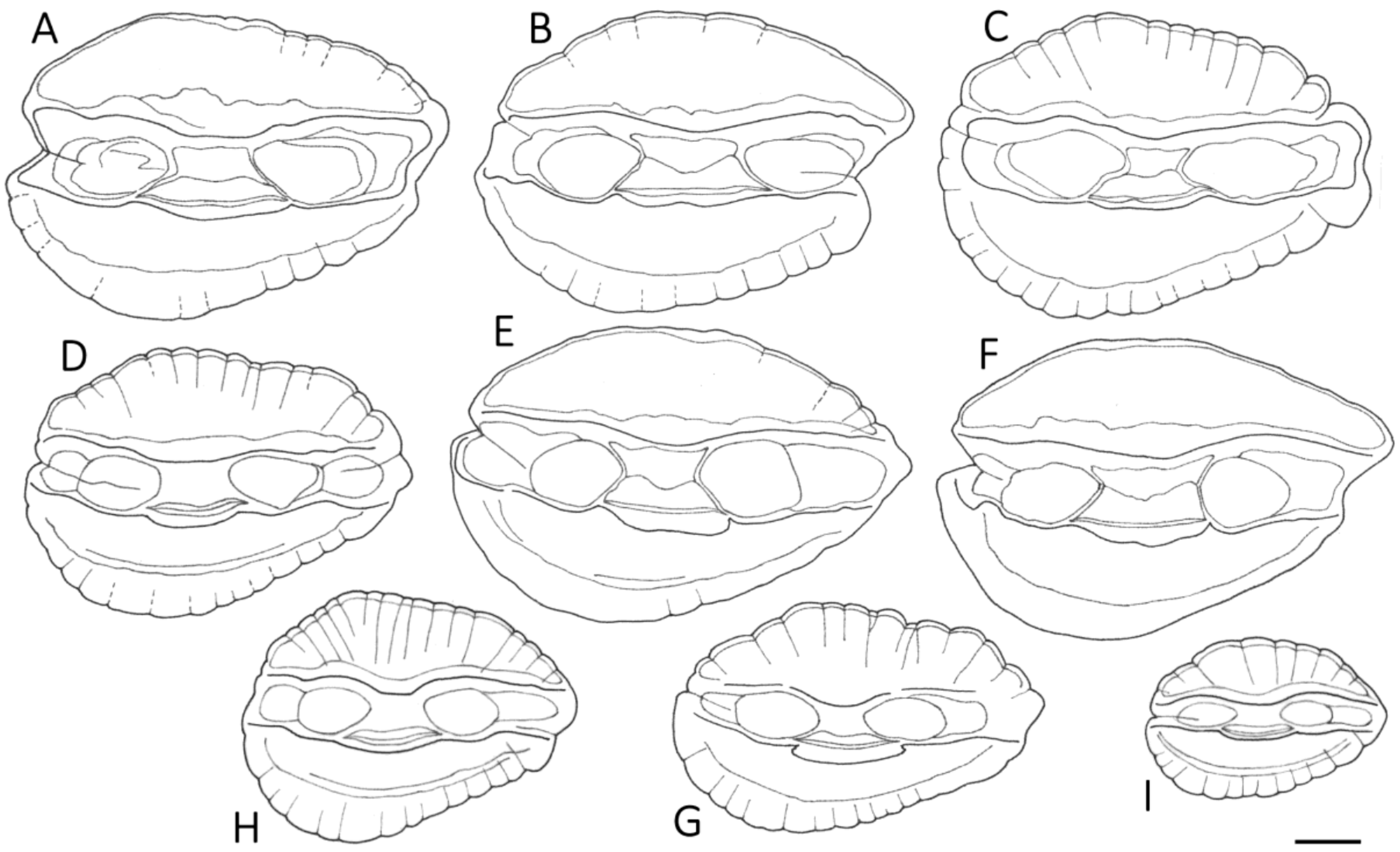 Fishes 02 00015 g005