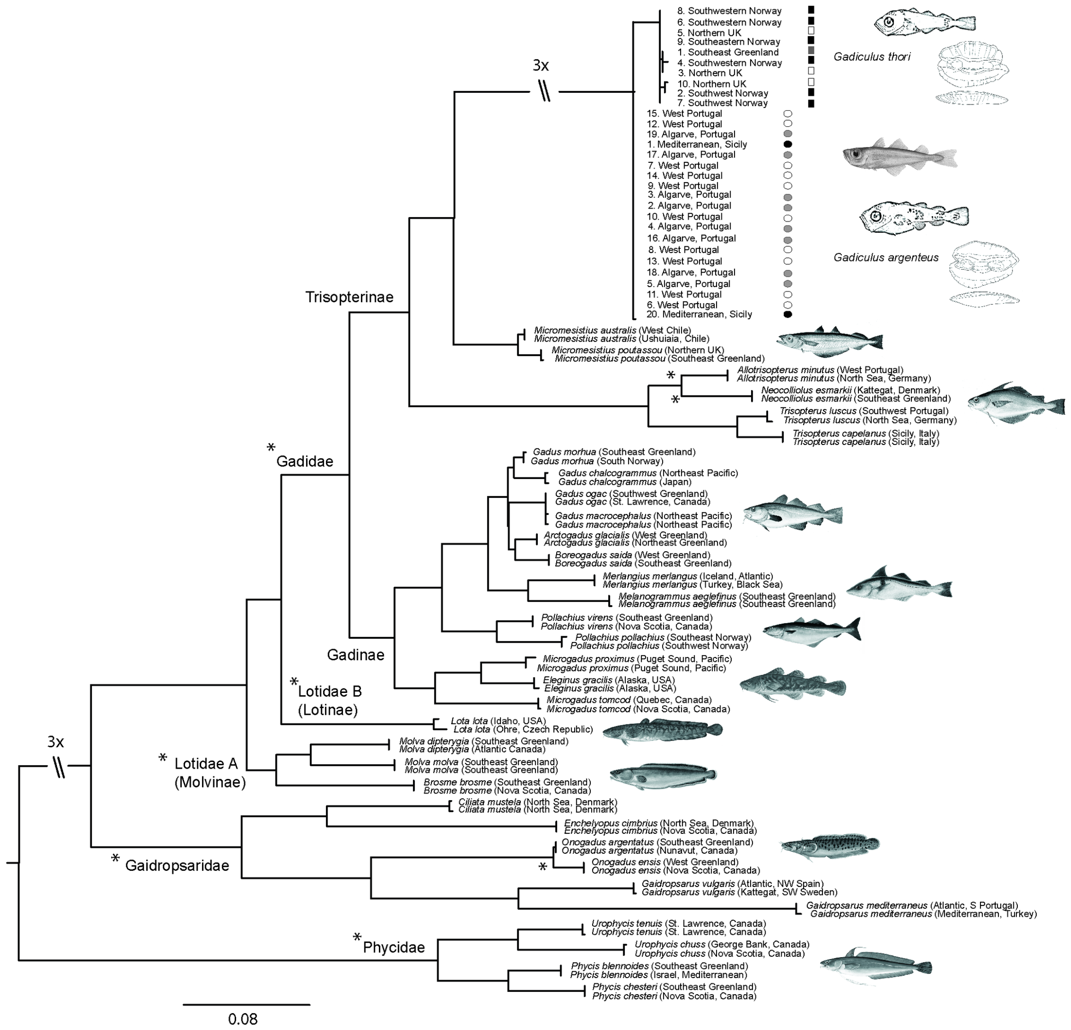 Fishes 02 00015 g008