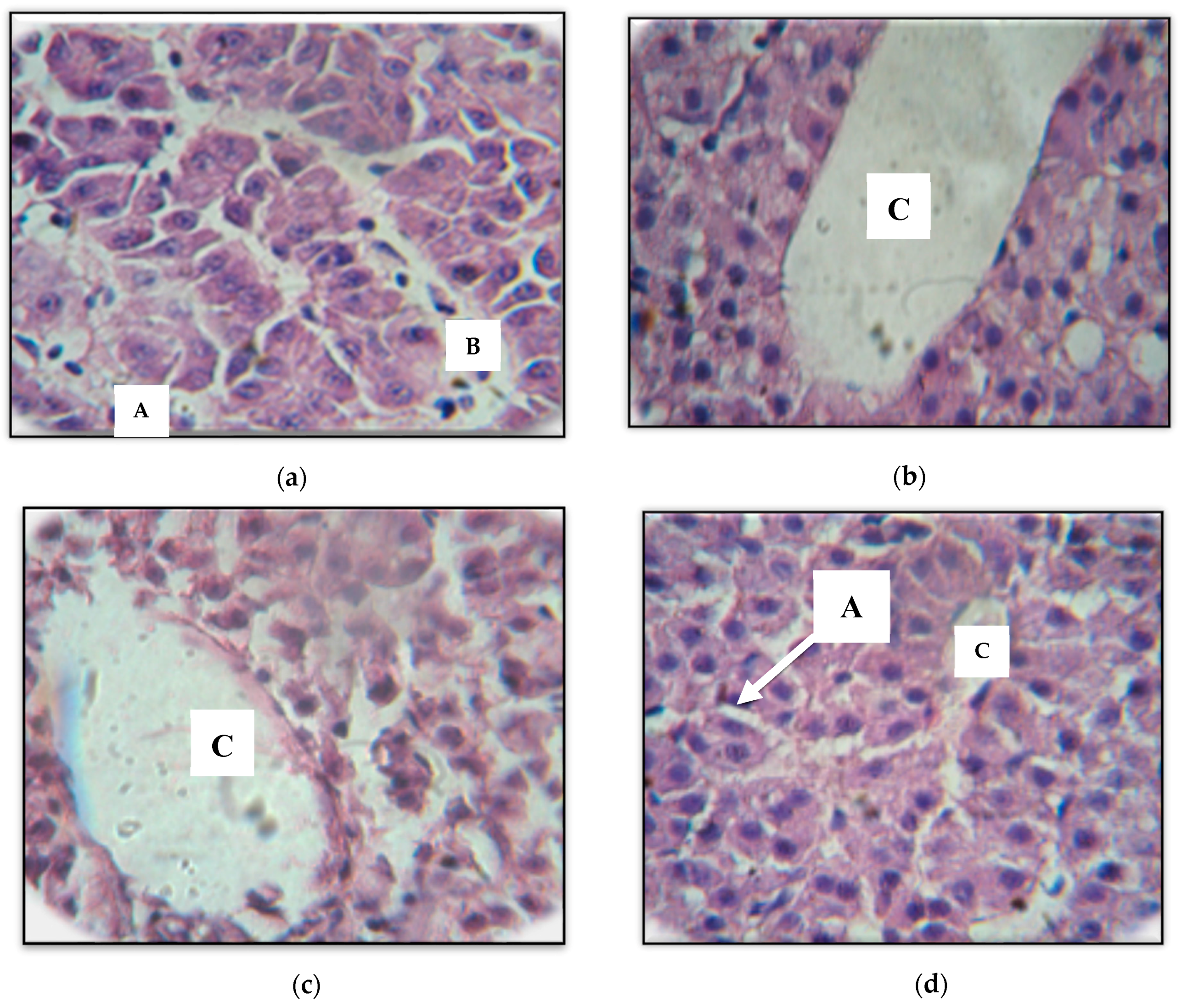 Fishes 03 00010 g002 Fishes 03 00010 g002