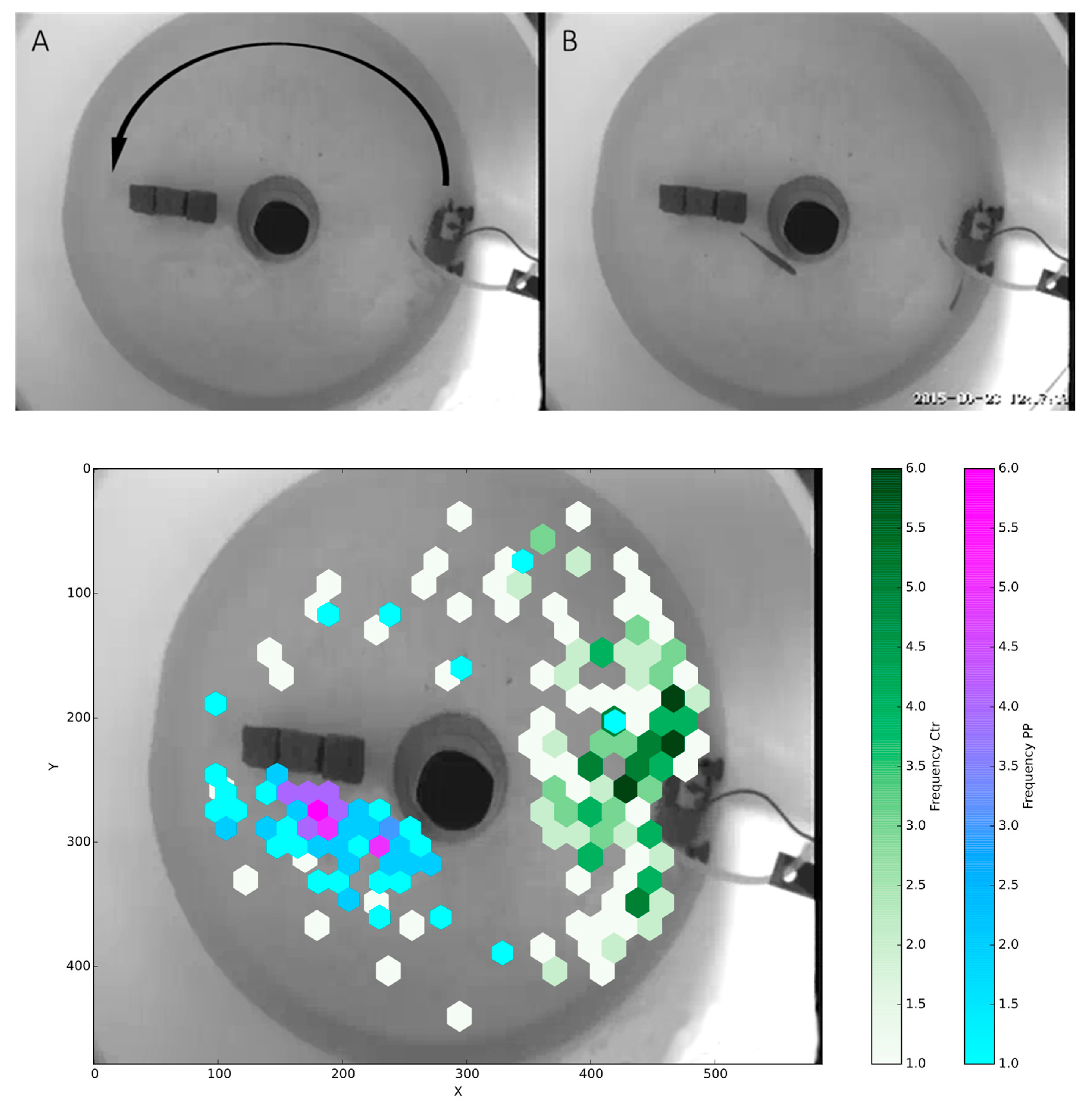 Fishes 03 00011 g003