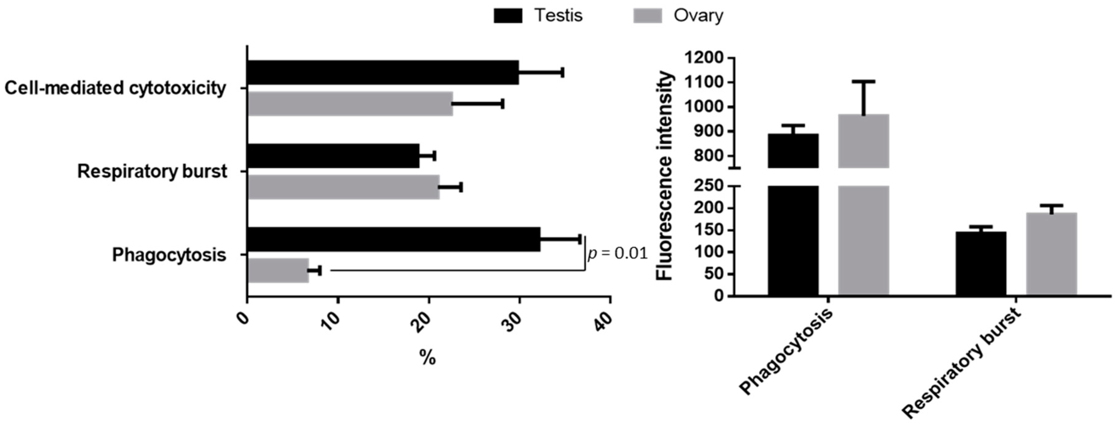 Fishes Free Full Text Immune Endocrine Interactions In The Fish Gonad During Infection An Open Door To Vertical Transmission